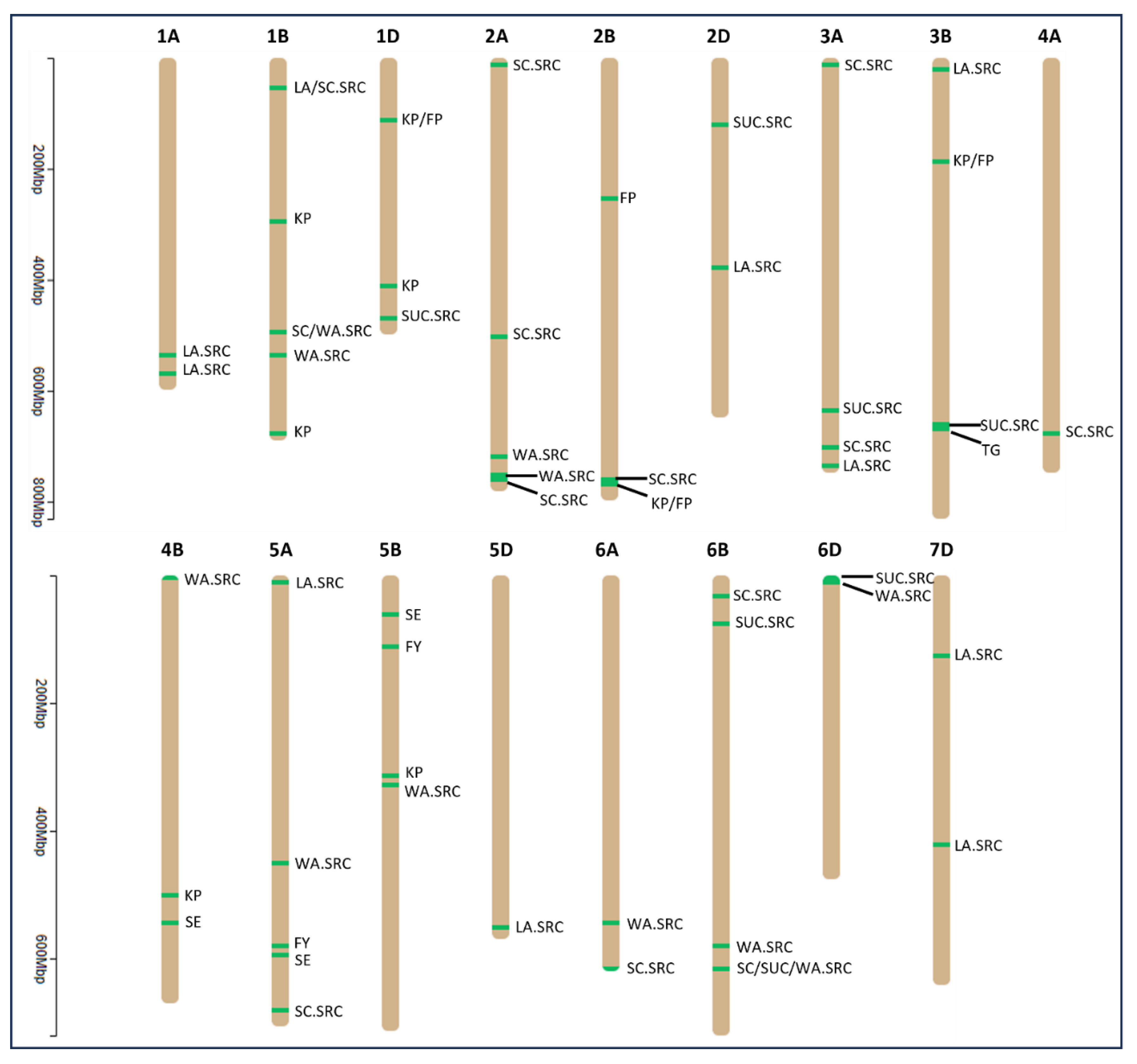 Preprints 115291 g002