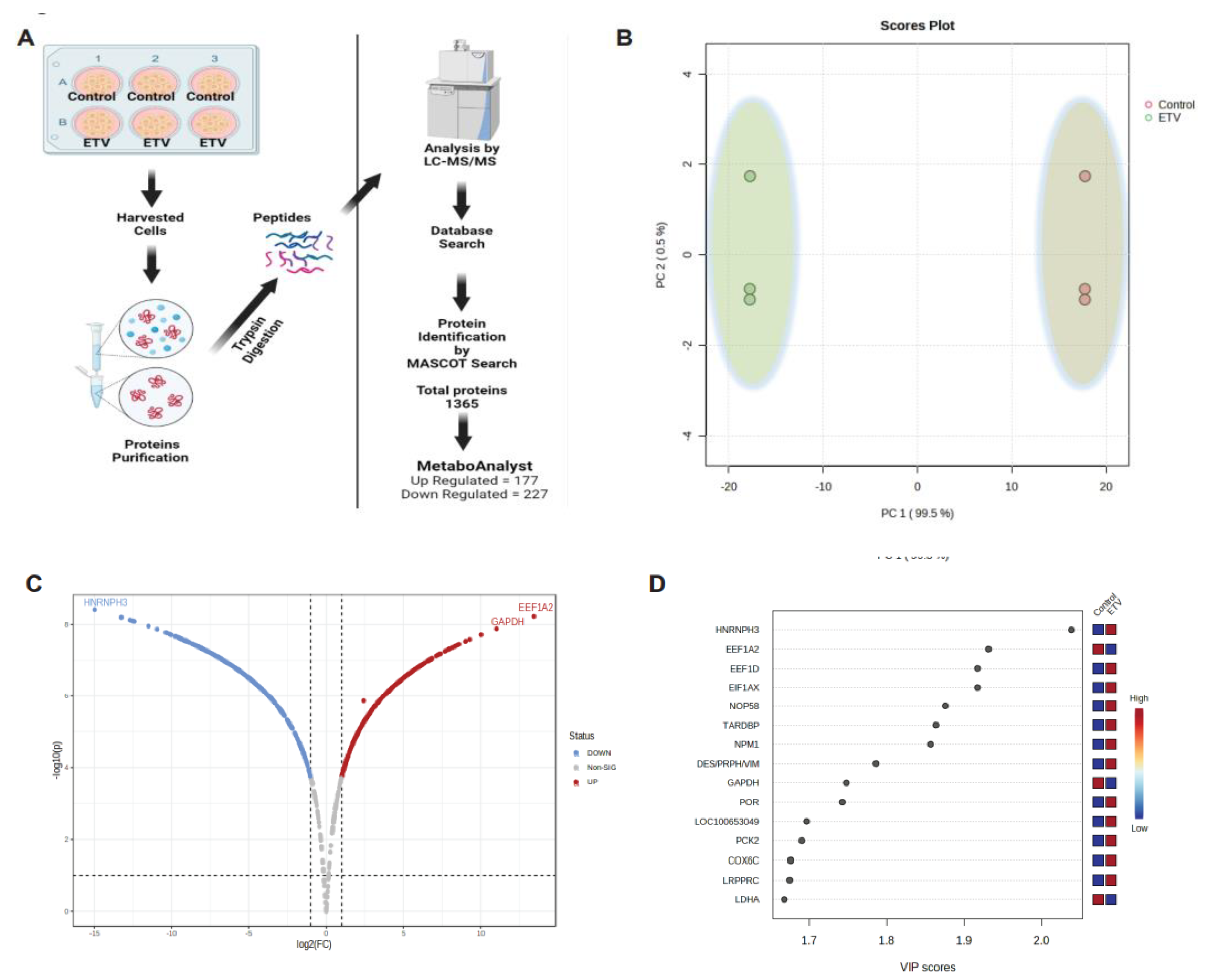 Preprints 74091 g001a