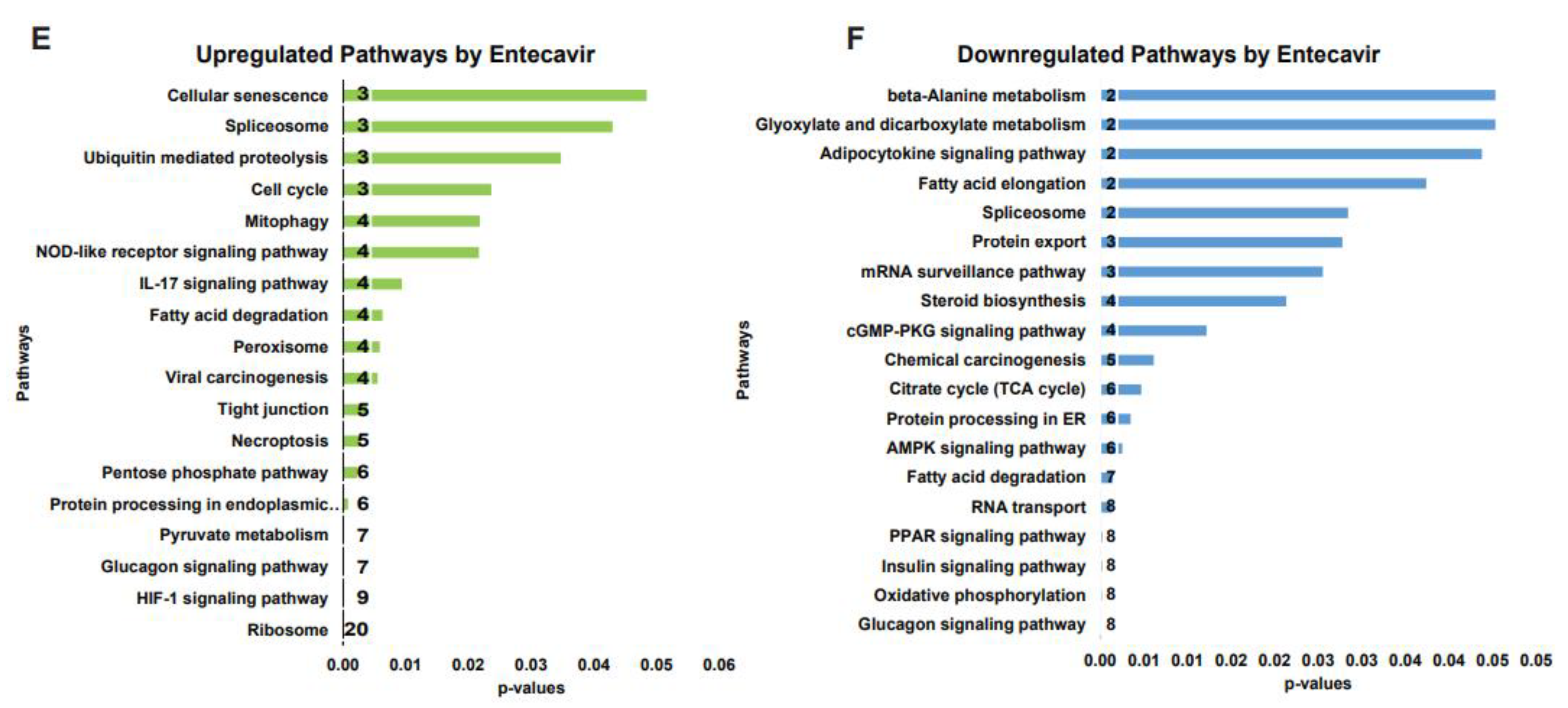 Preprints 74091 g001b