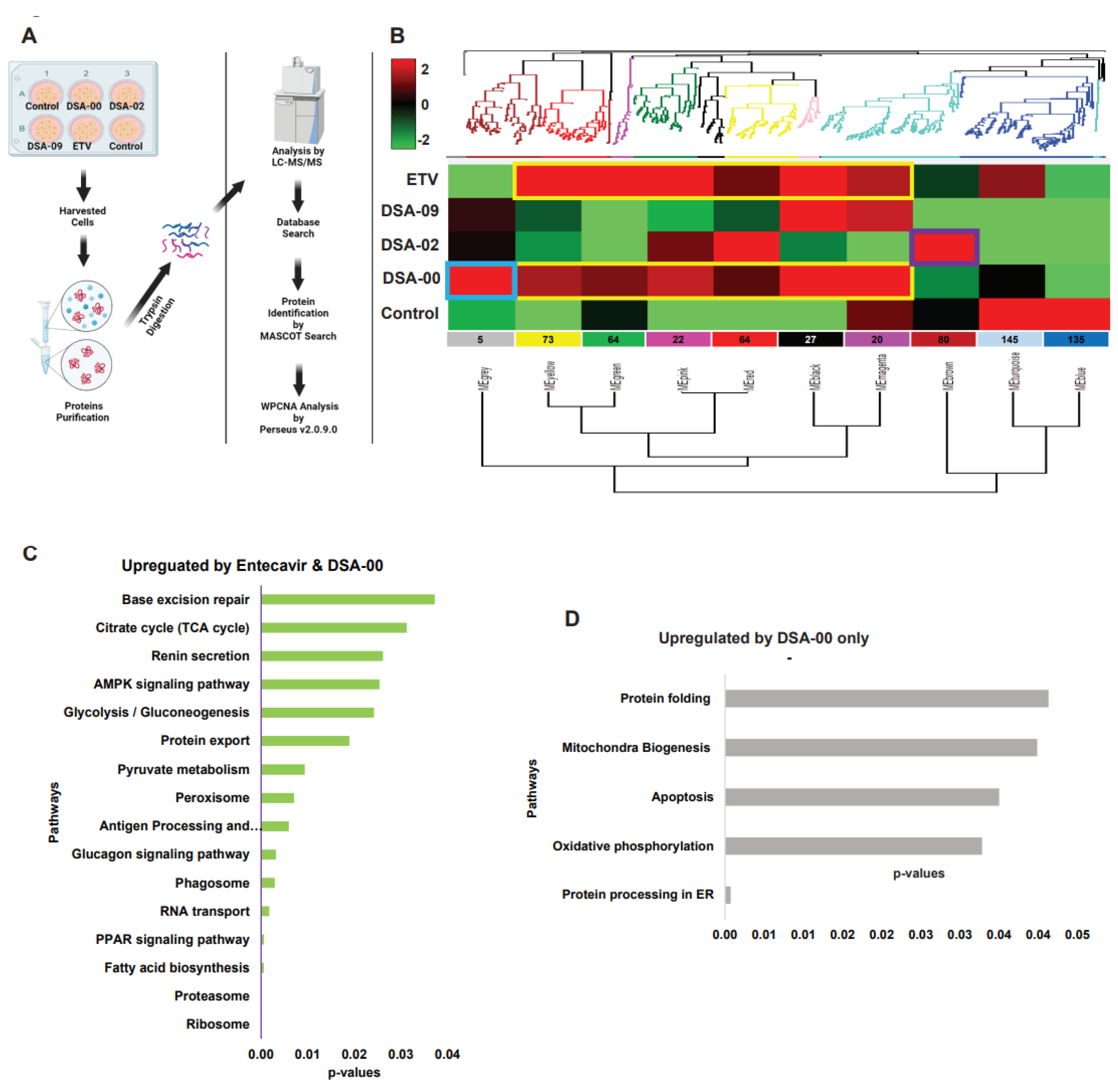 Preprints 74091 g002a