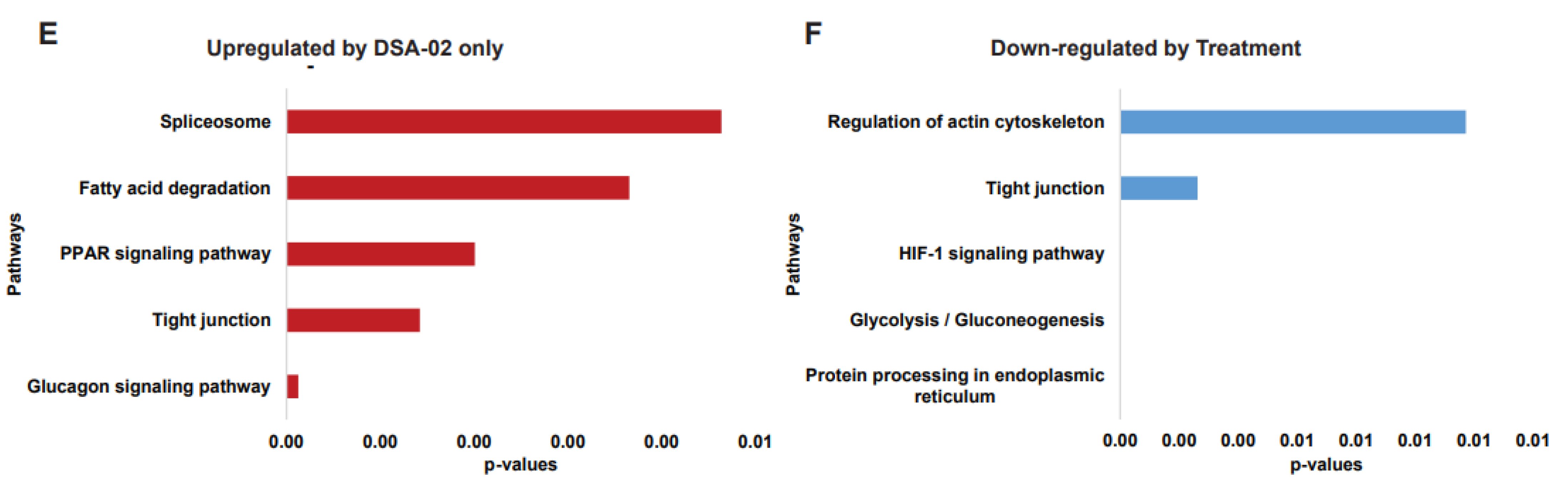 Preprints 74091 g002b