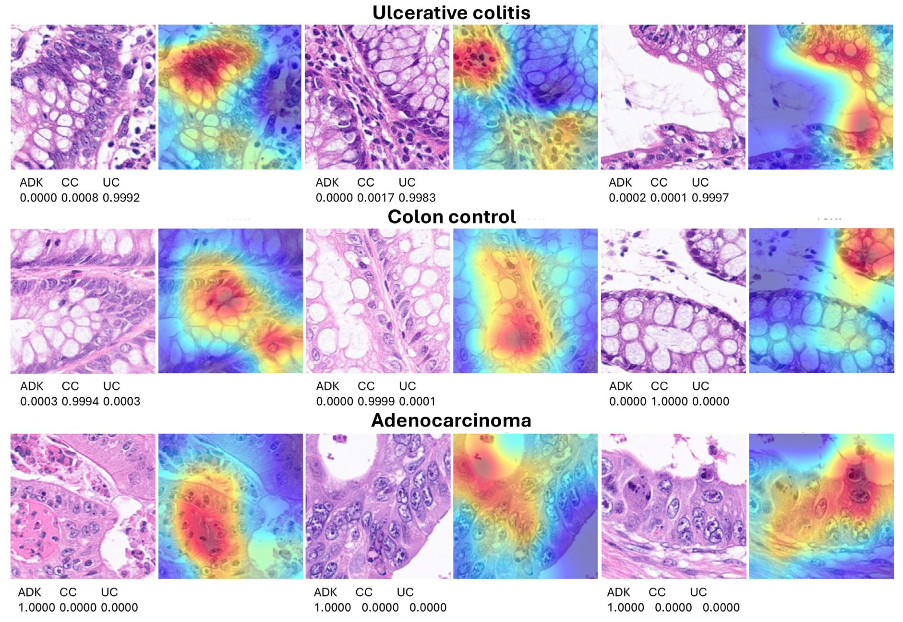 Preprints 138358 g007