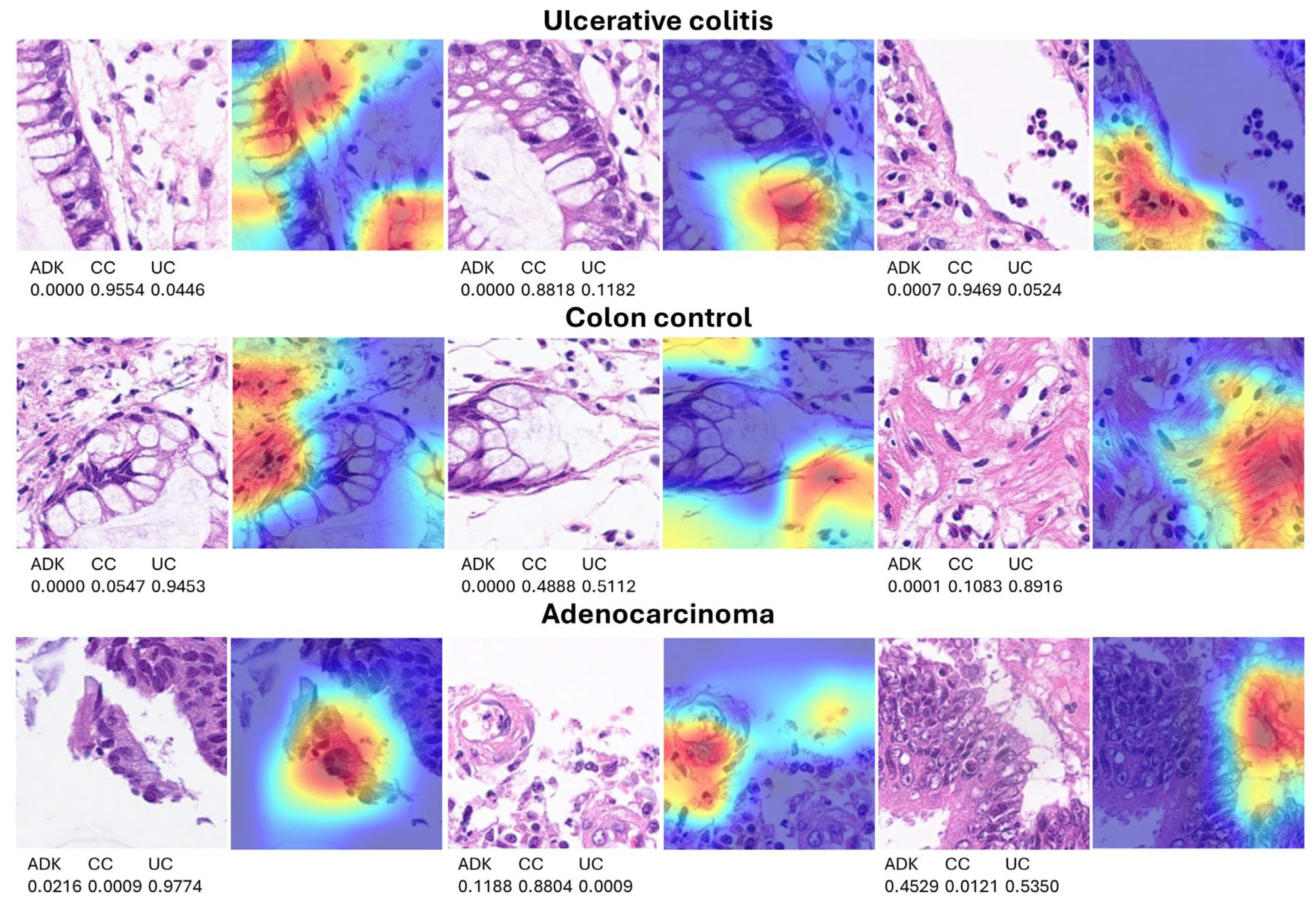 Preprints 138358 g008