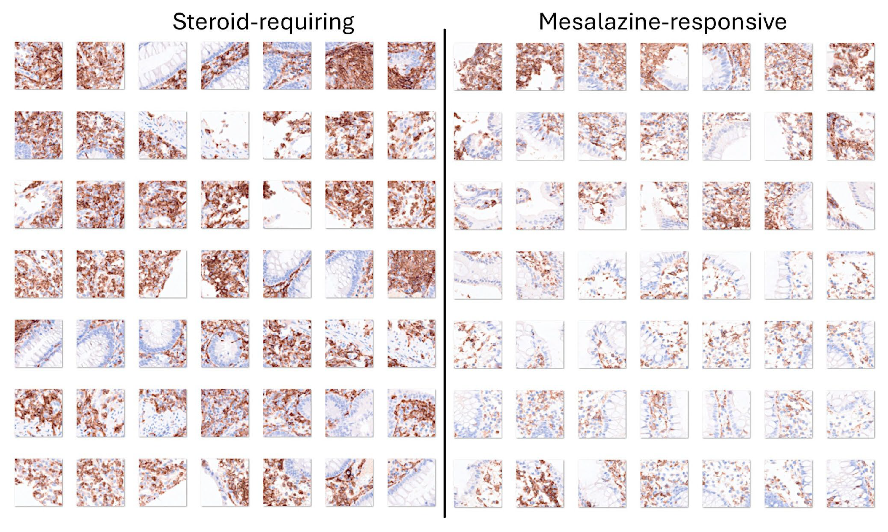 Preprints 138358 g012