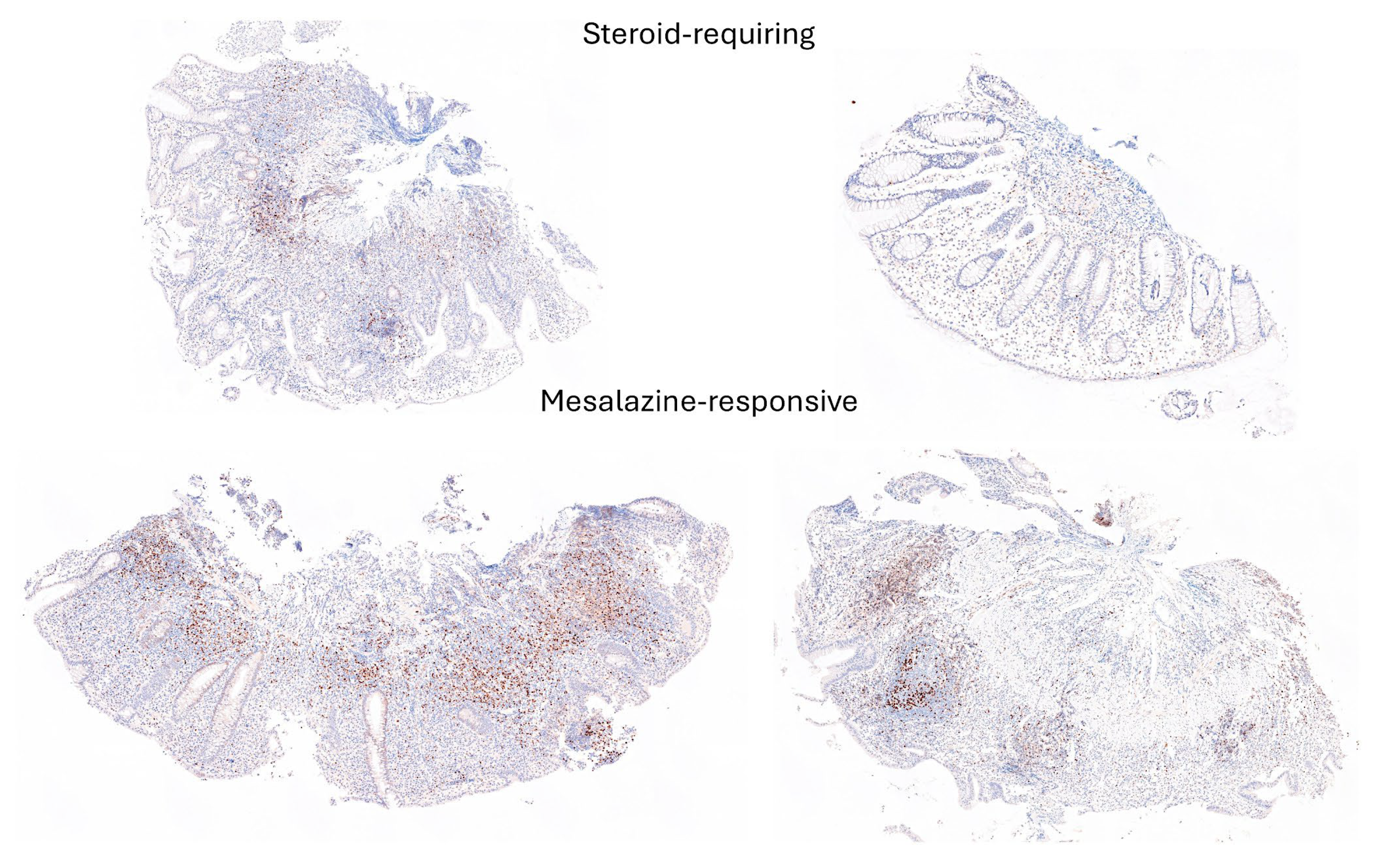 Preprints 138358 g014