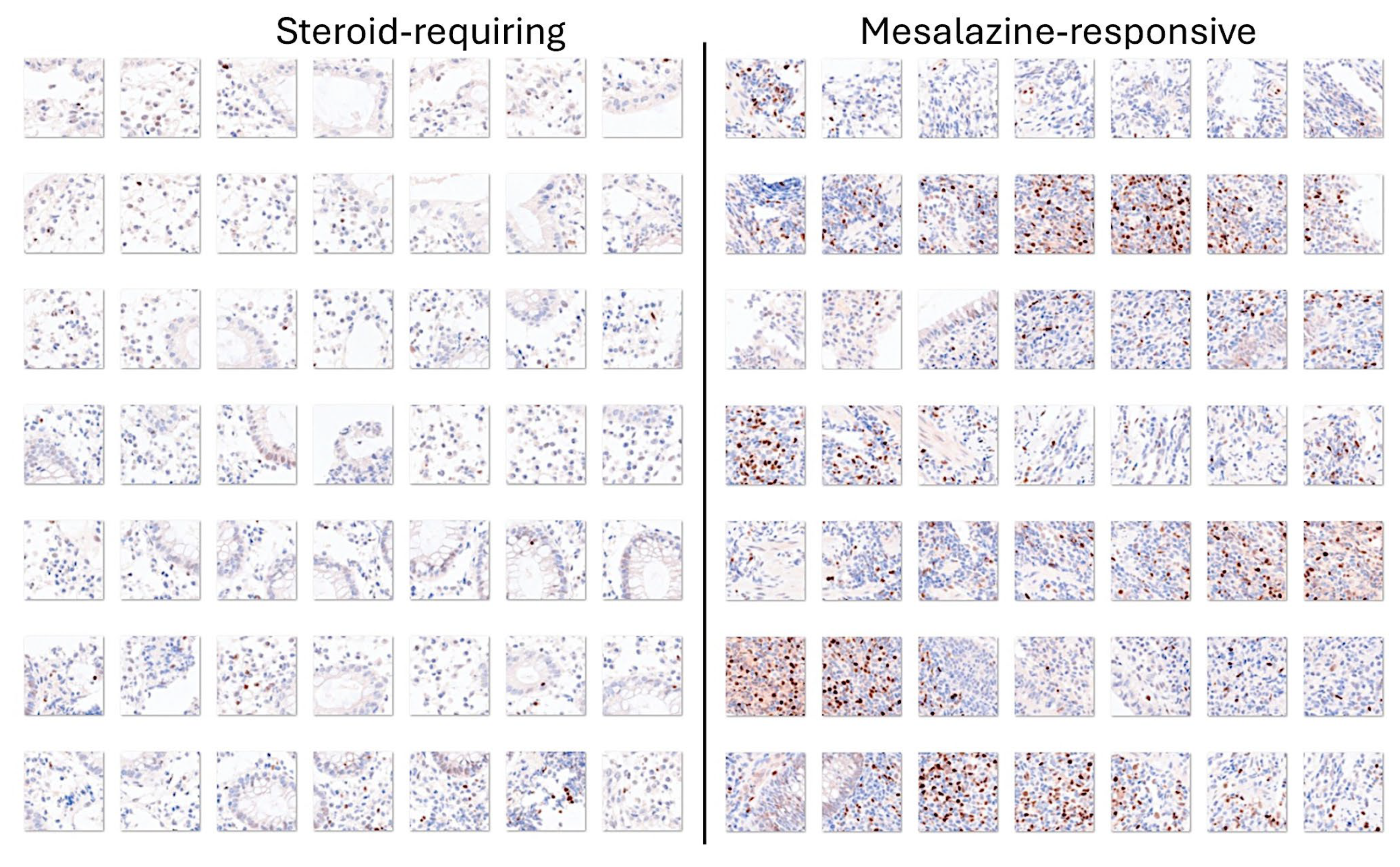 Preprints 138358 g015