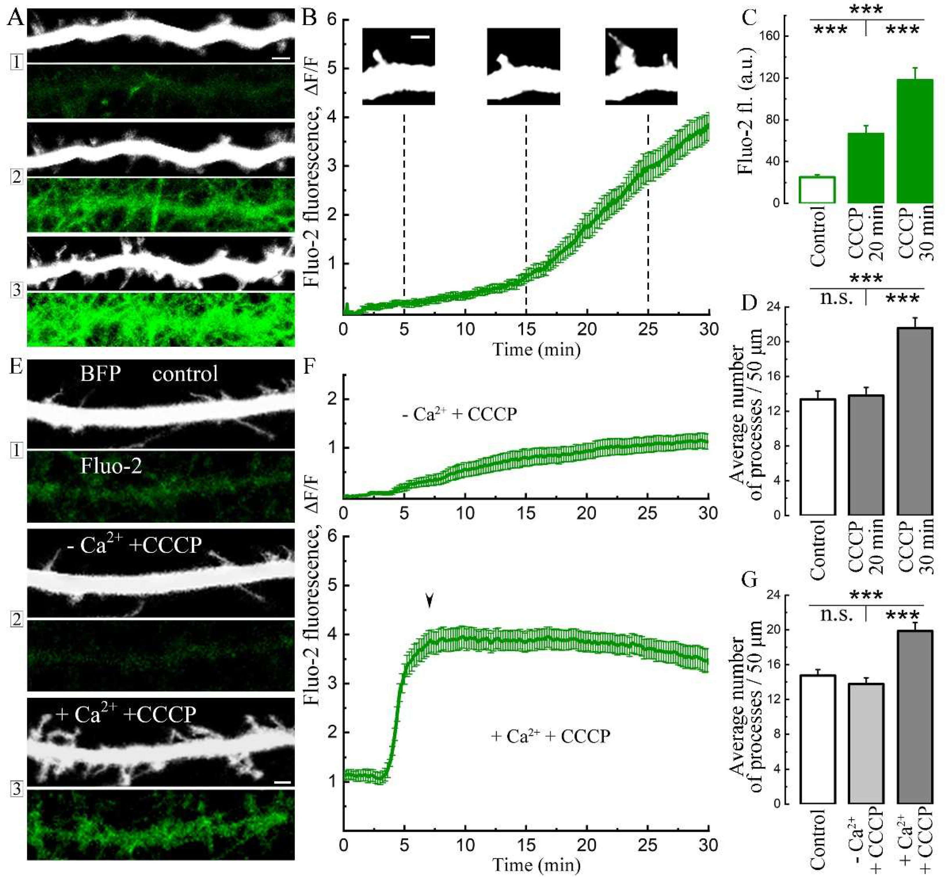 Preprints 81380 g001