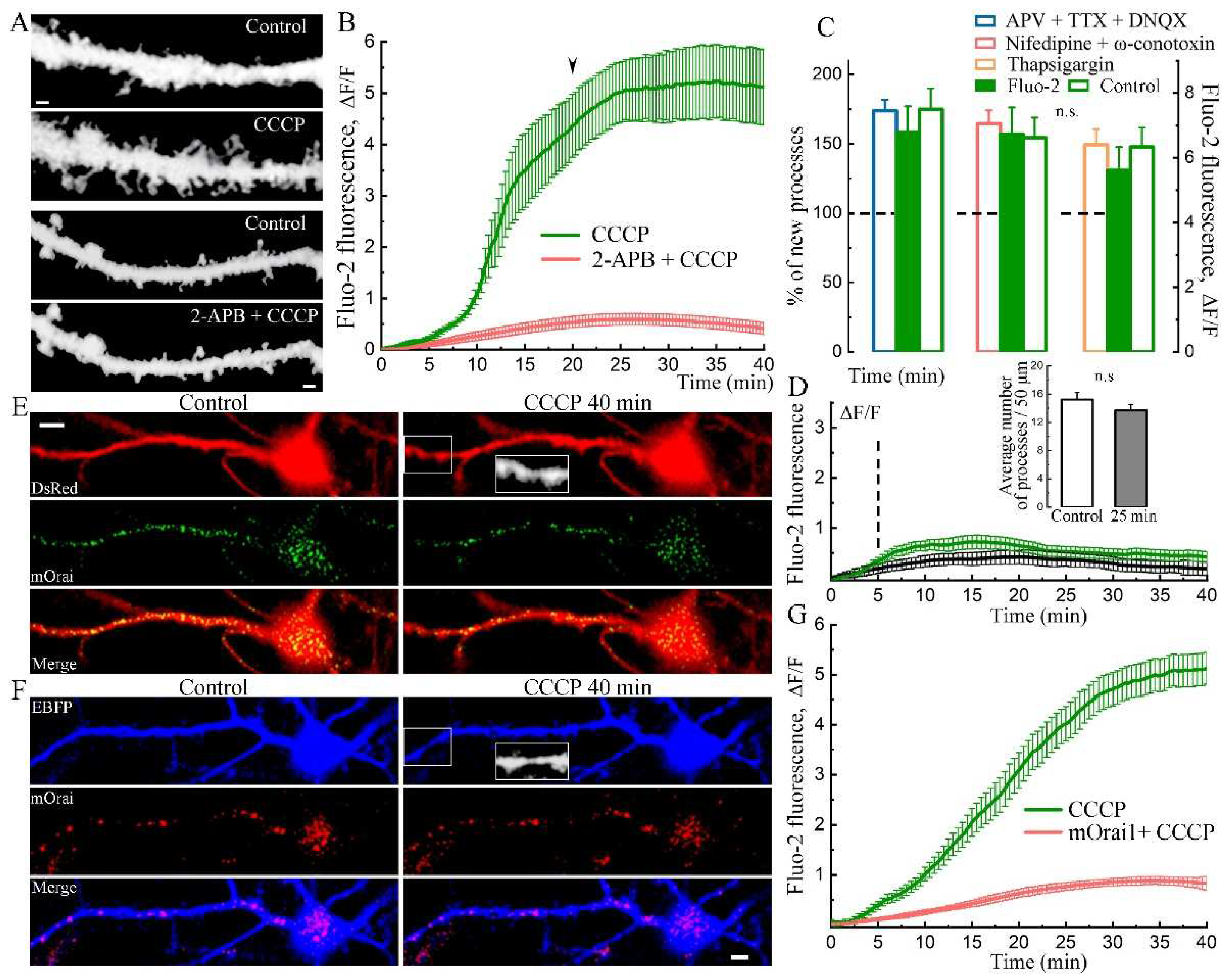 Preprints 81380 g002