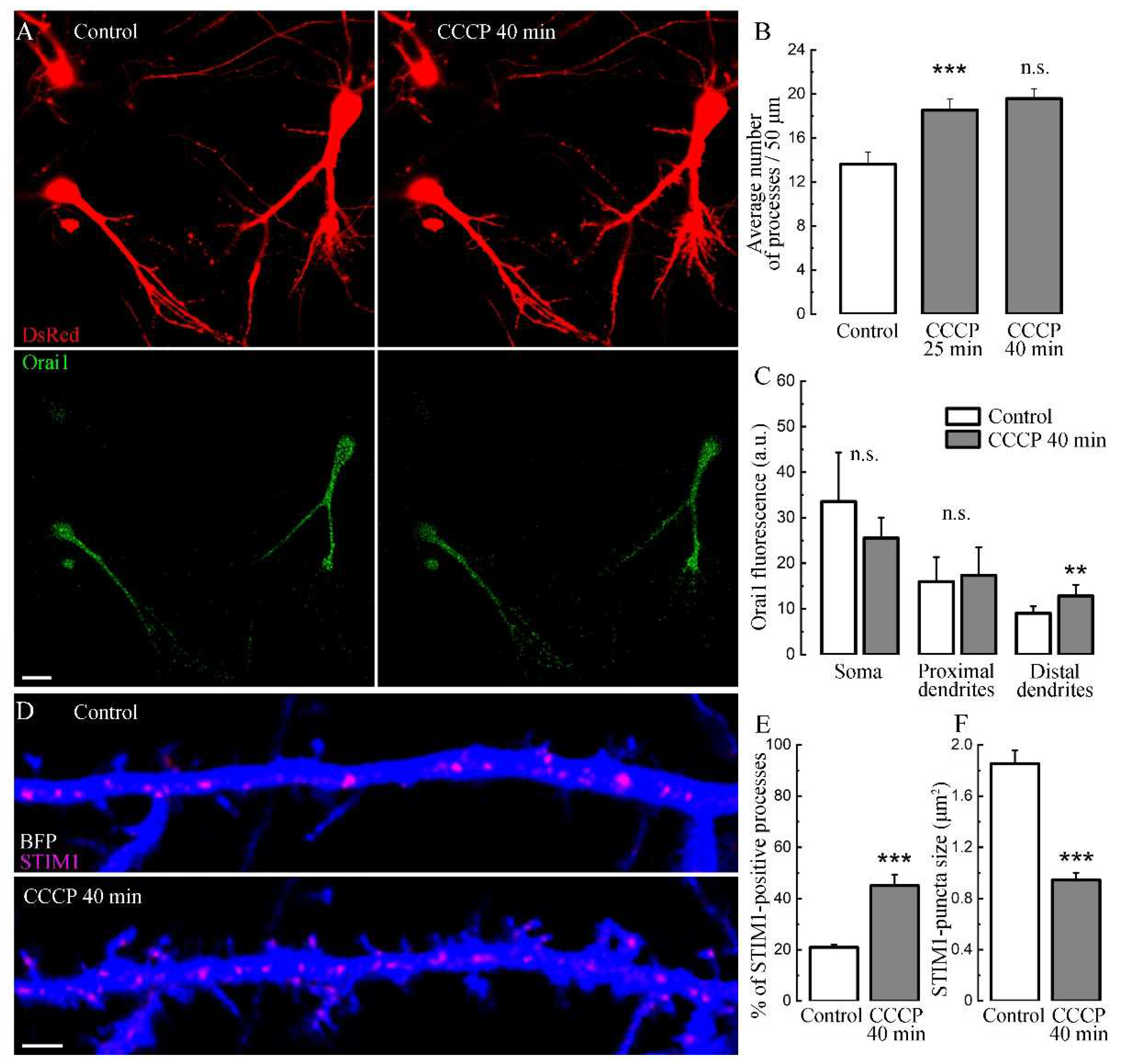 Preprints 81380 g003