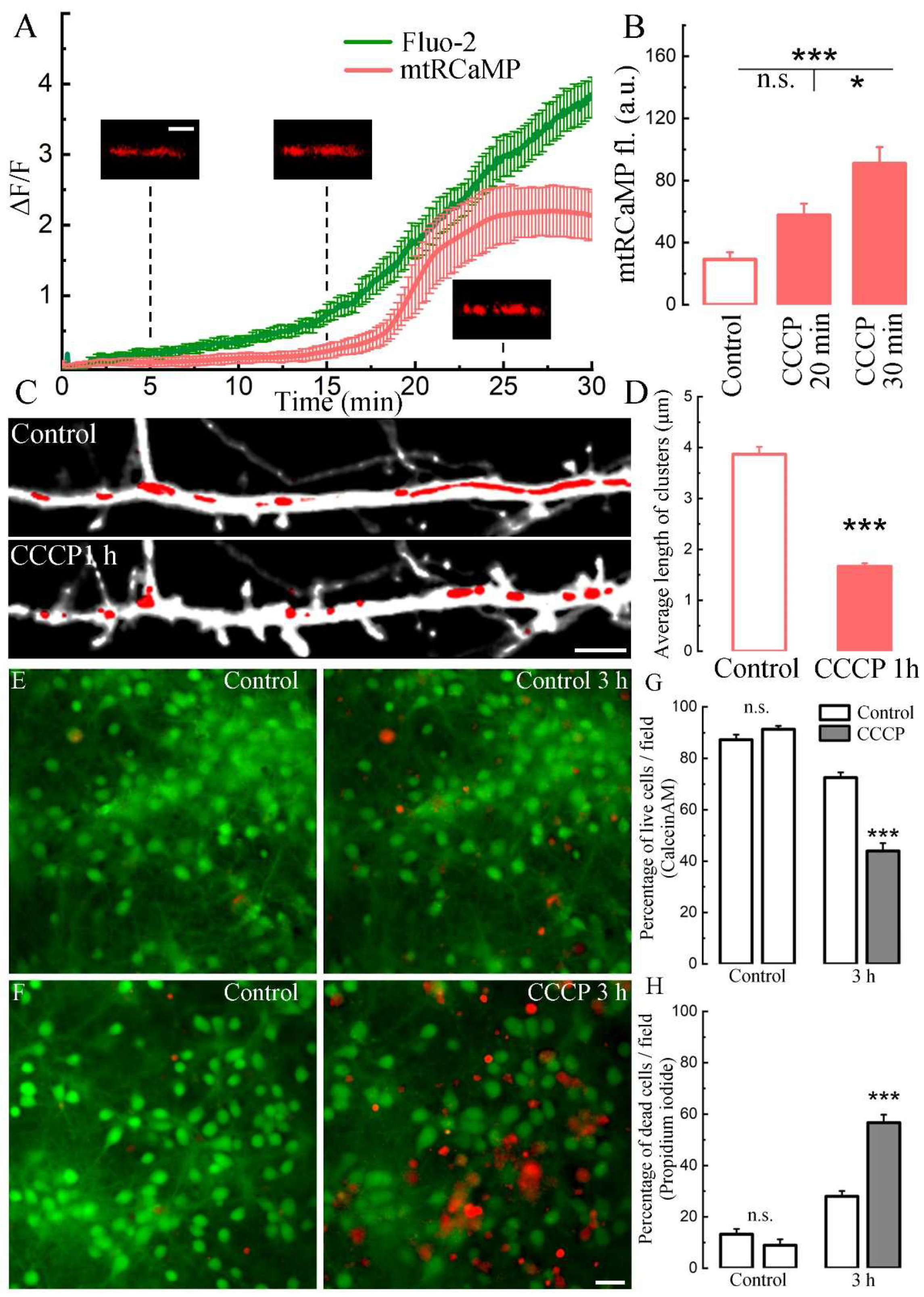 Preprints 81380 g004