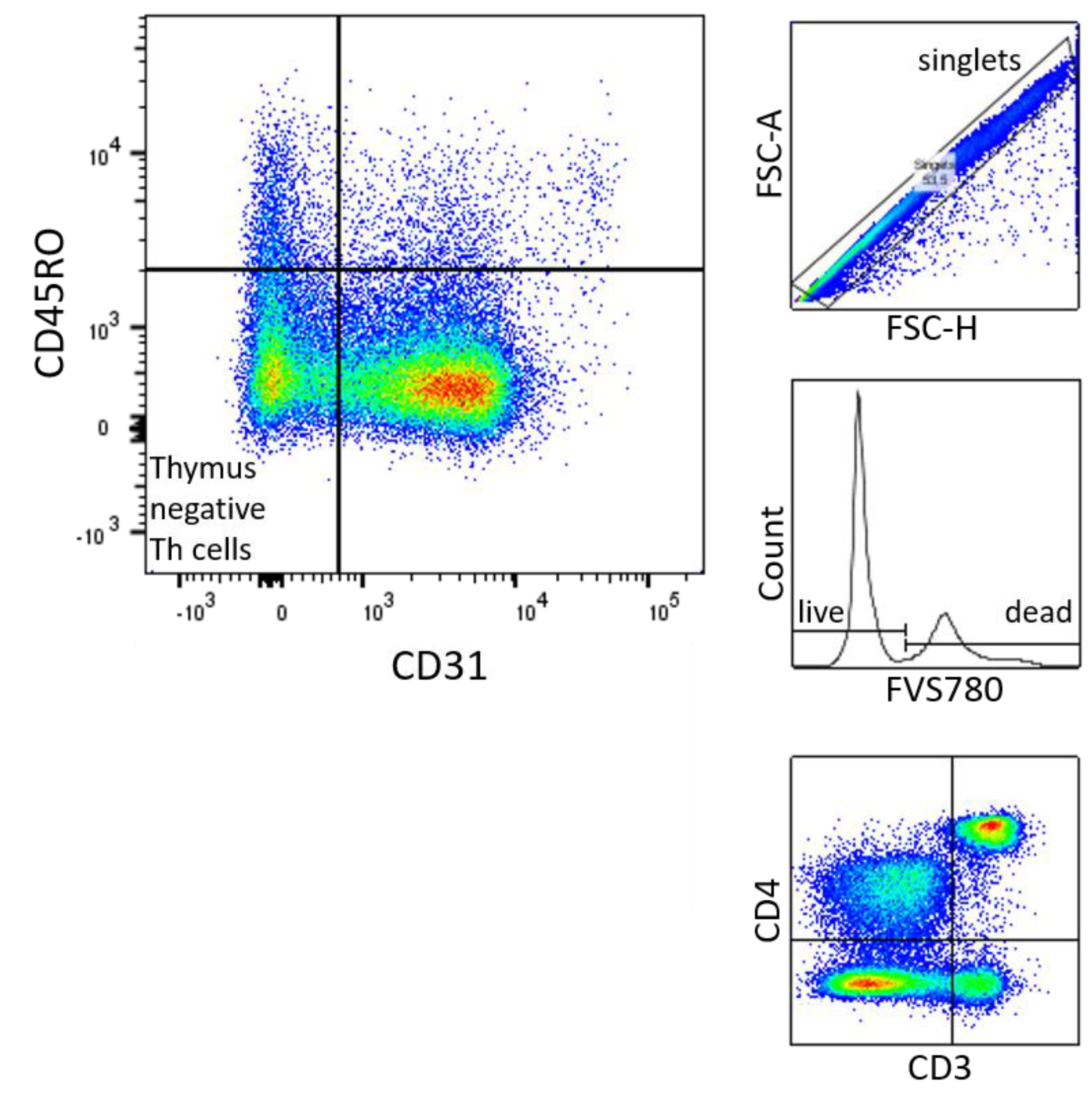 Preprints 76378 g006