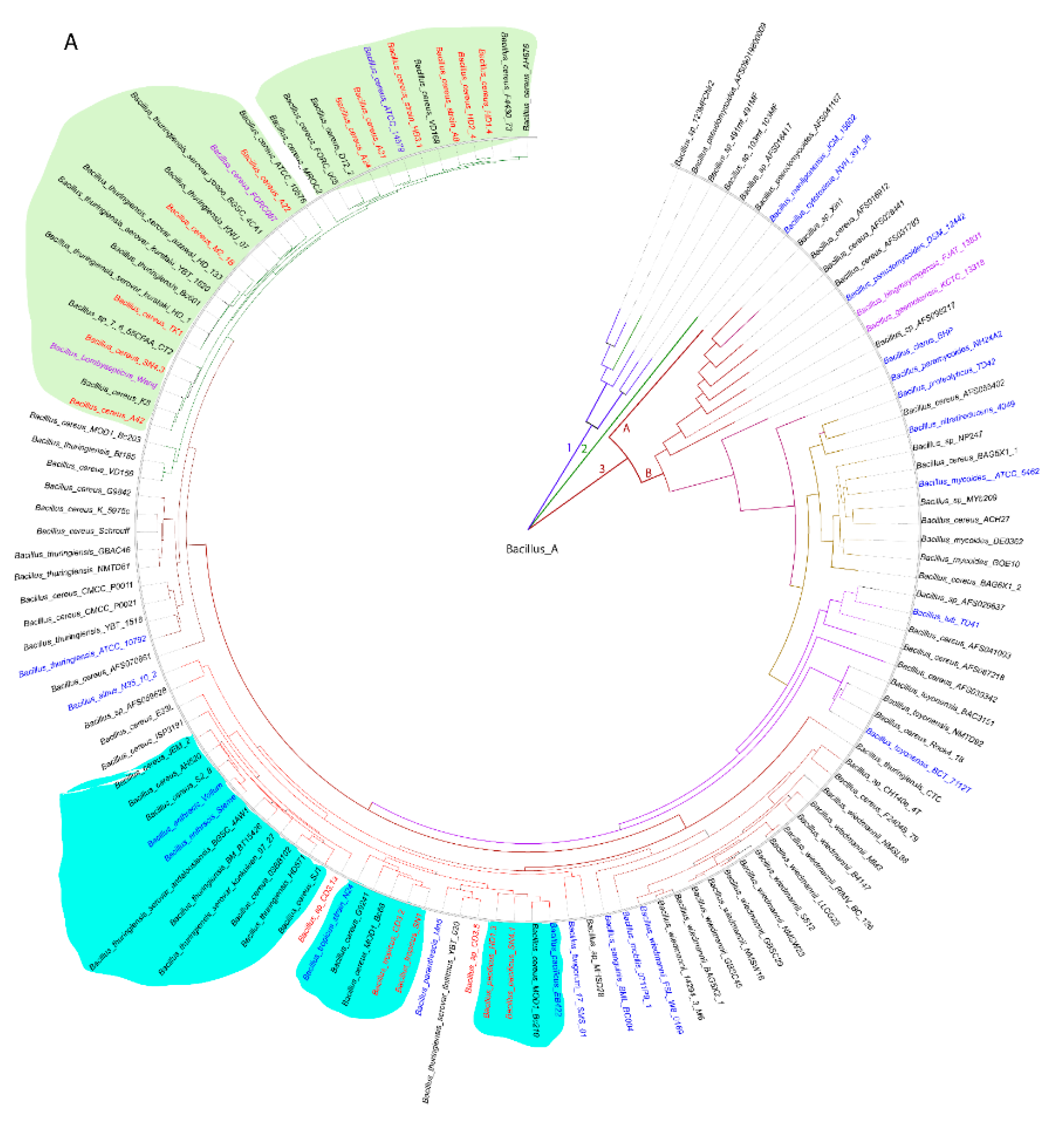 Preprints 87498 g001a