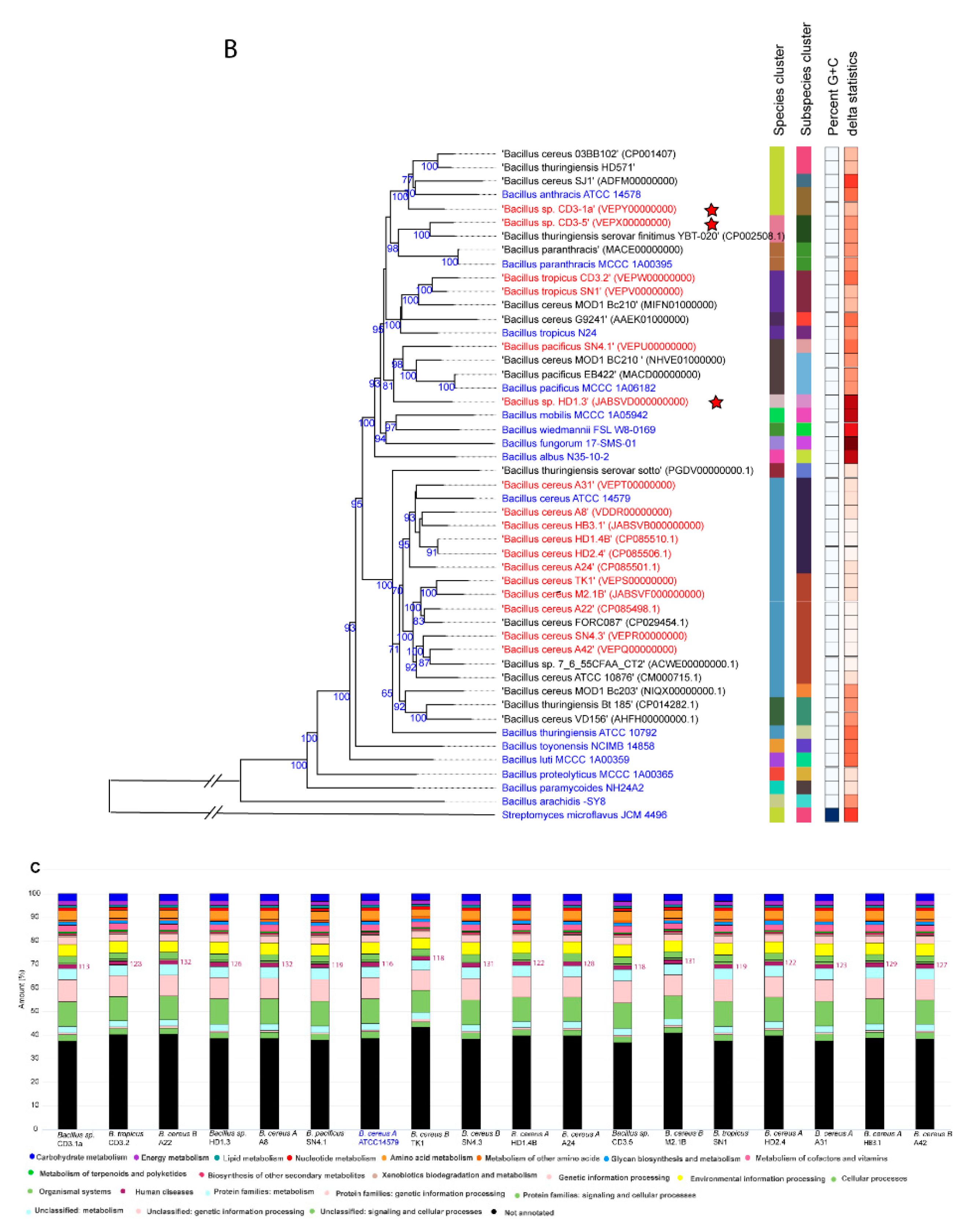 Preprints 87498 g001b