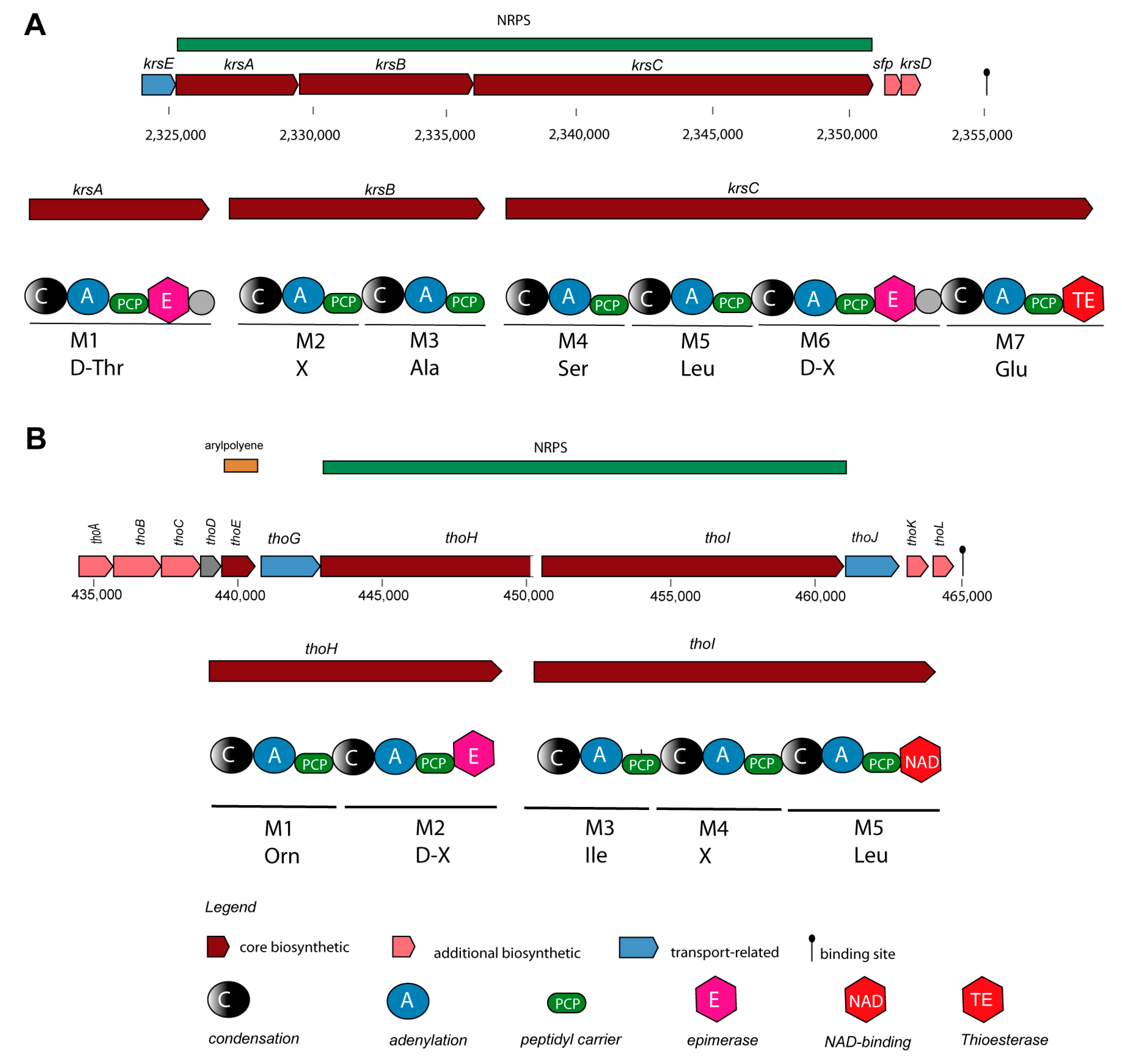 Preprints 87498 g004