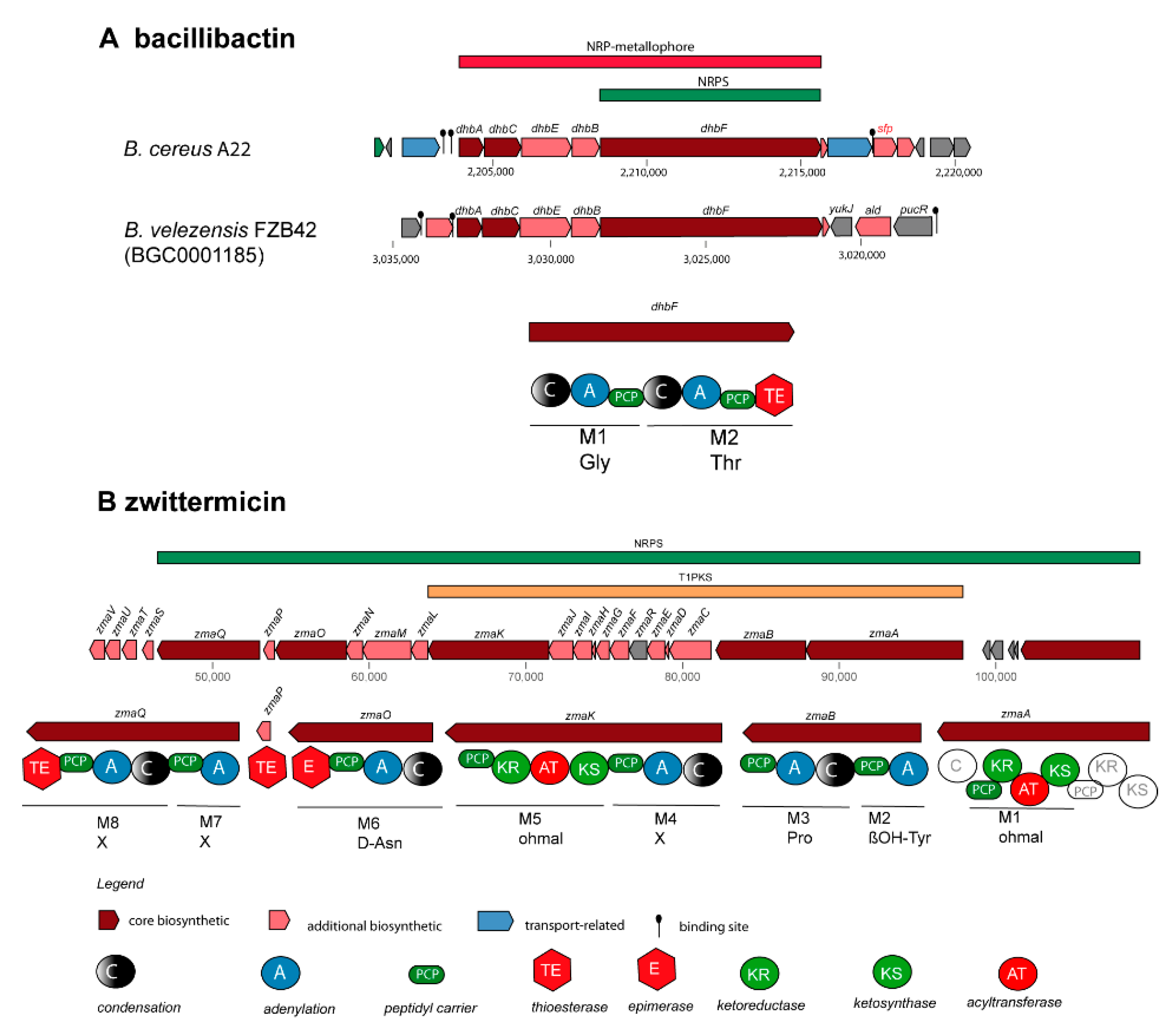 Preprints 87498 g005