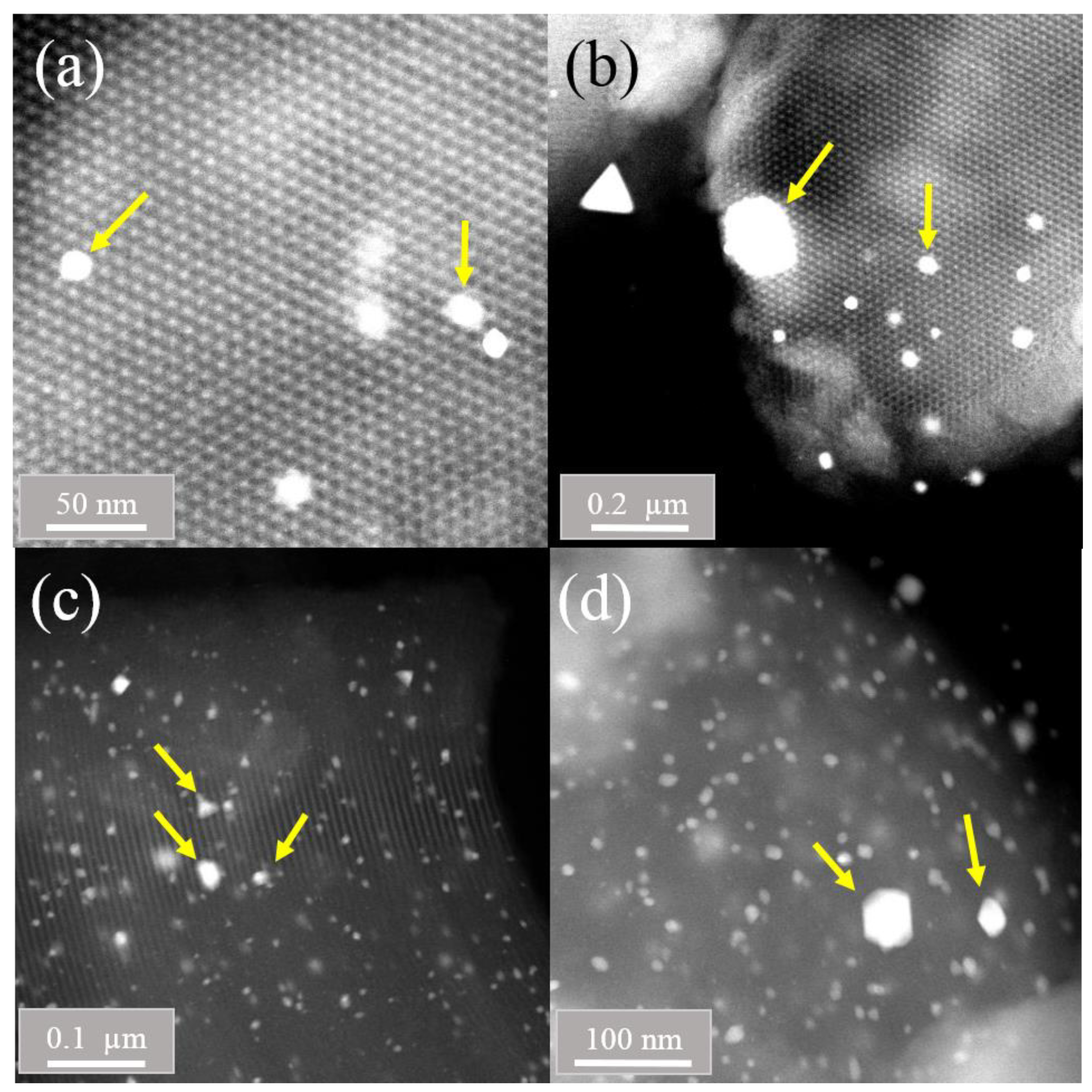 Preprints 107036 g004