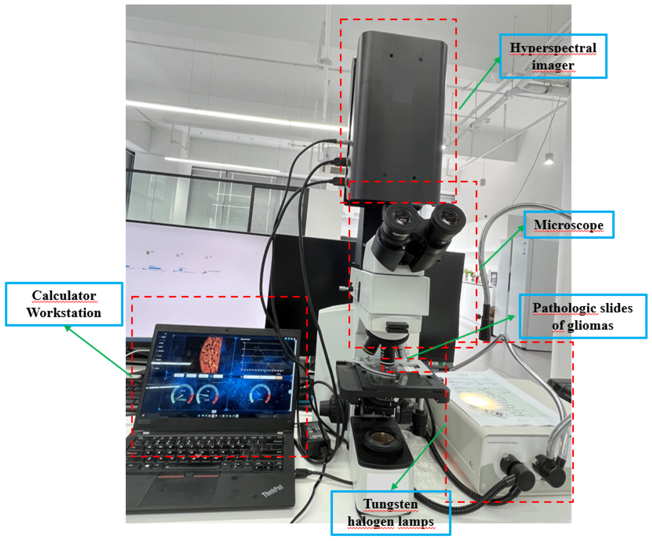 Preprints 106382 g003