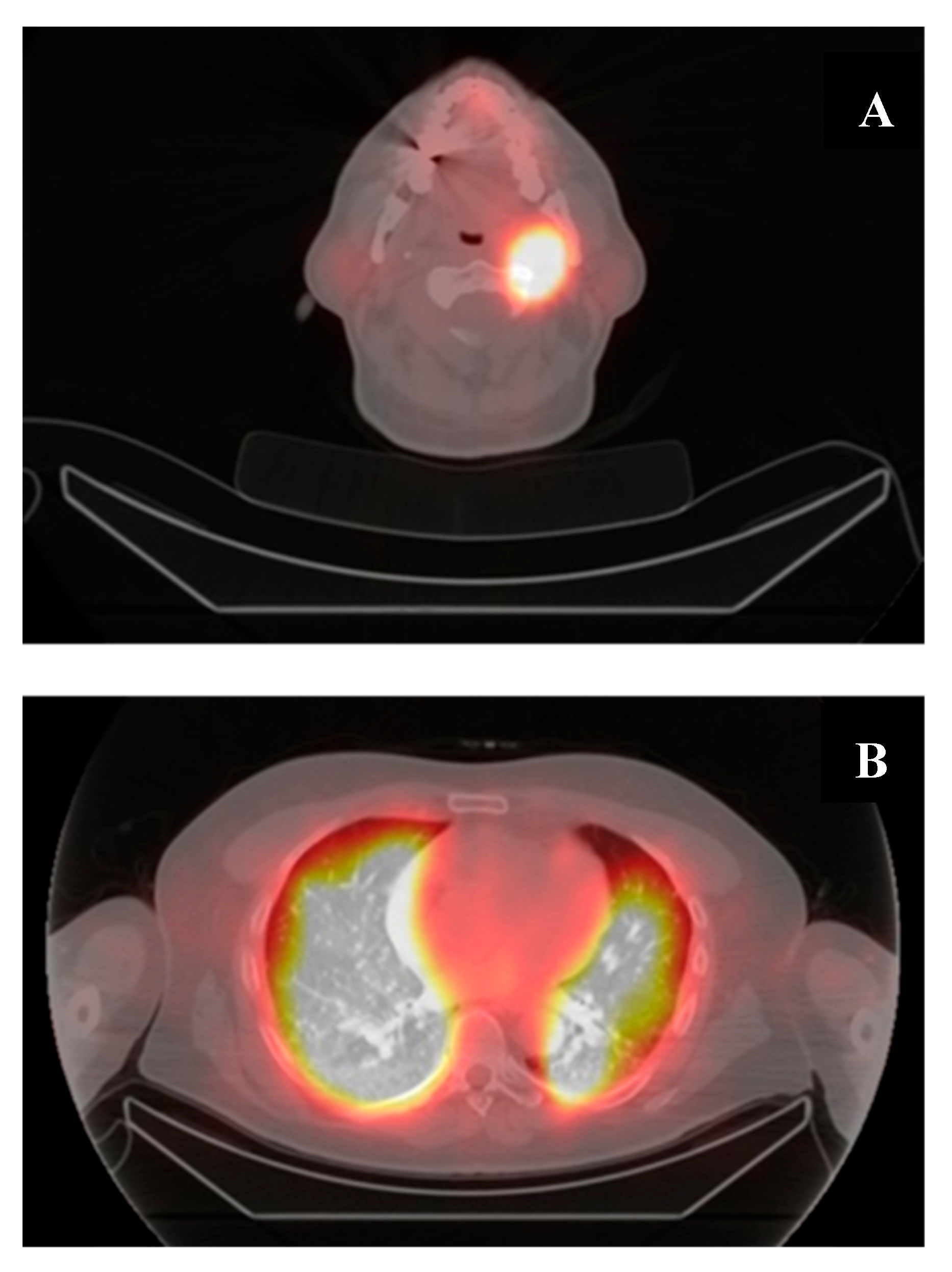 Preprints 109355 g003