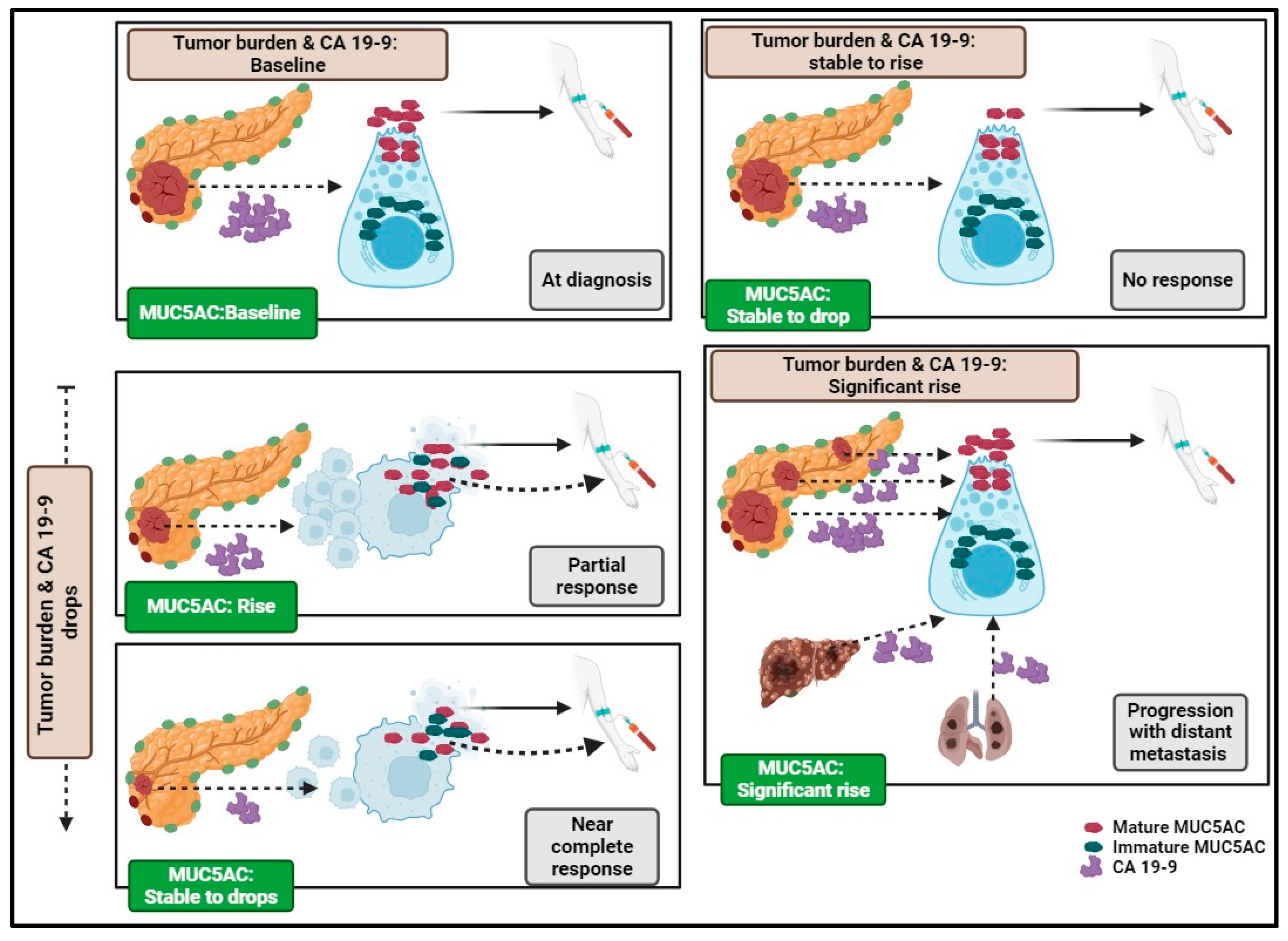 Preprints 117979 g002