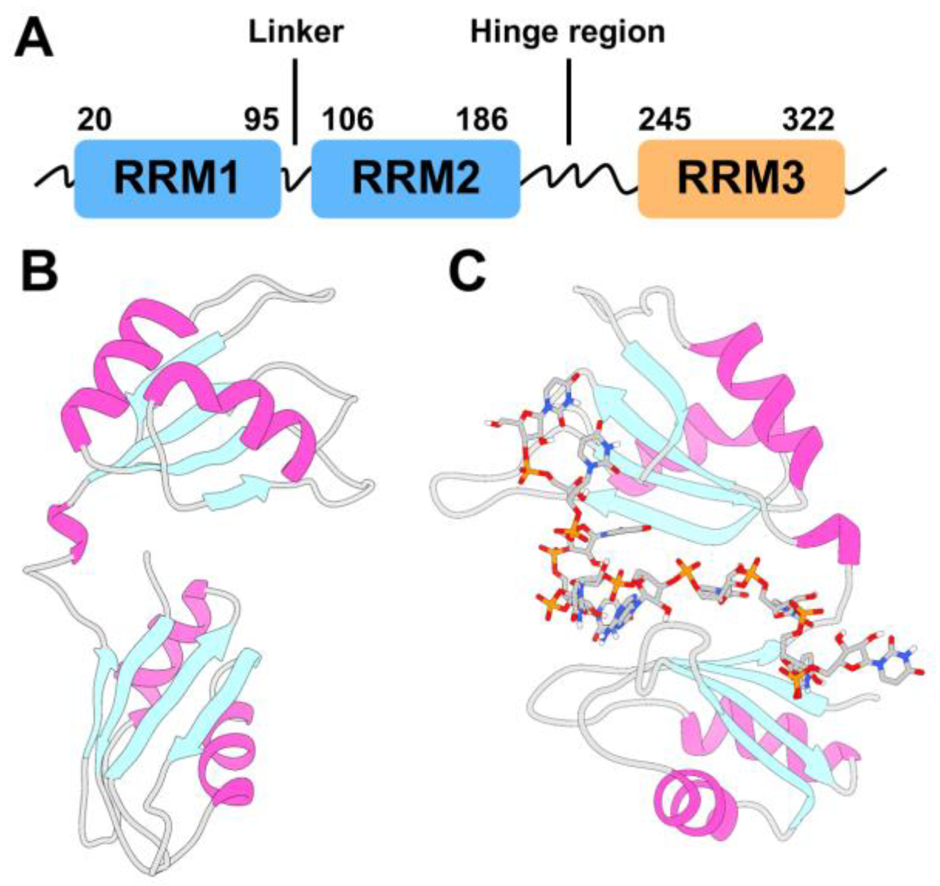 Preprints 81248 g001