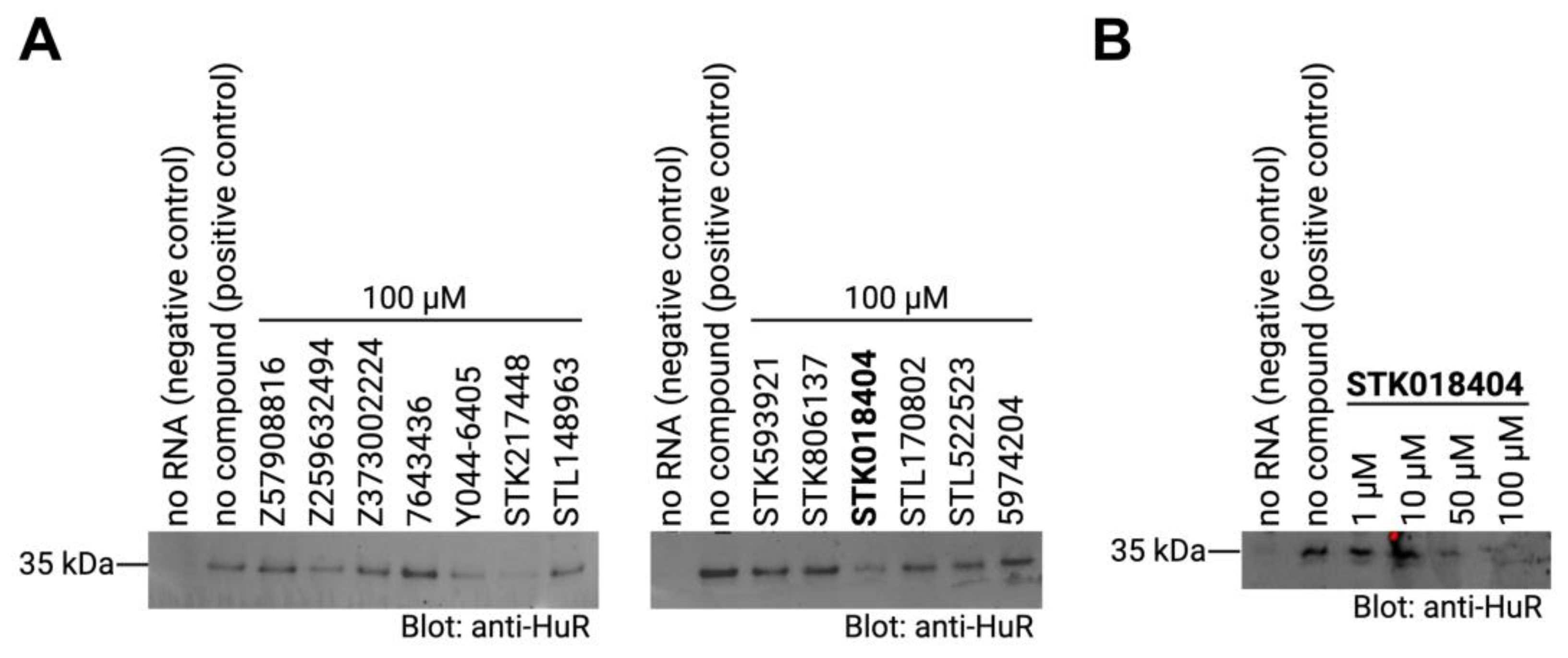 Preprints 81248 g004