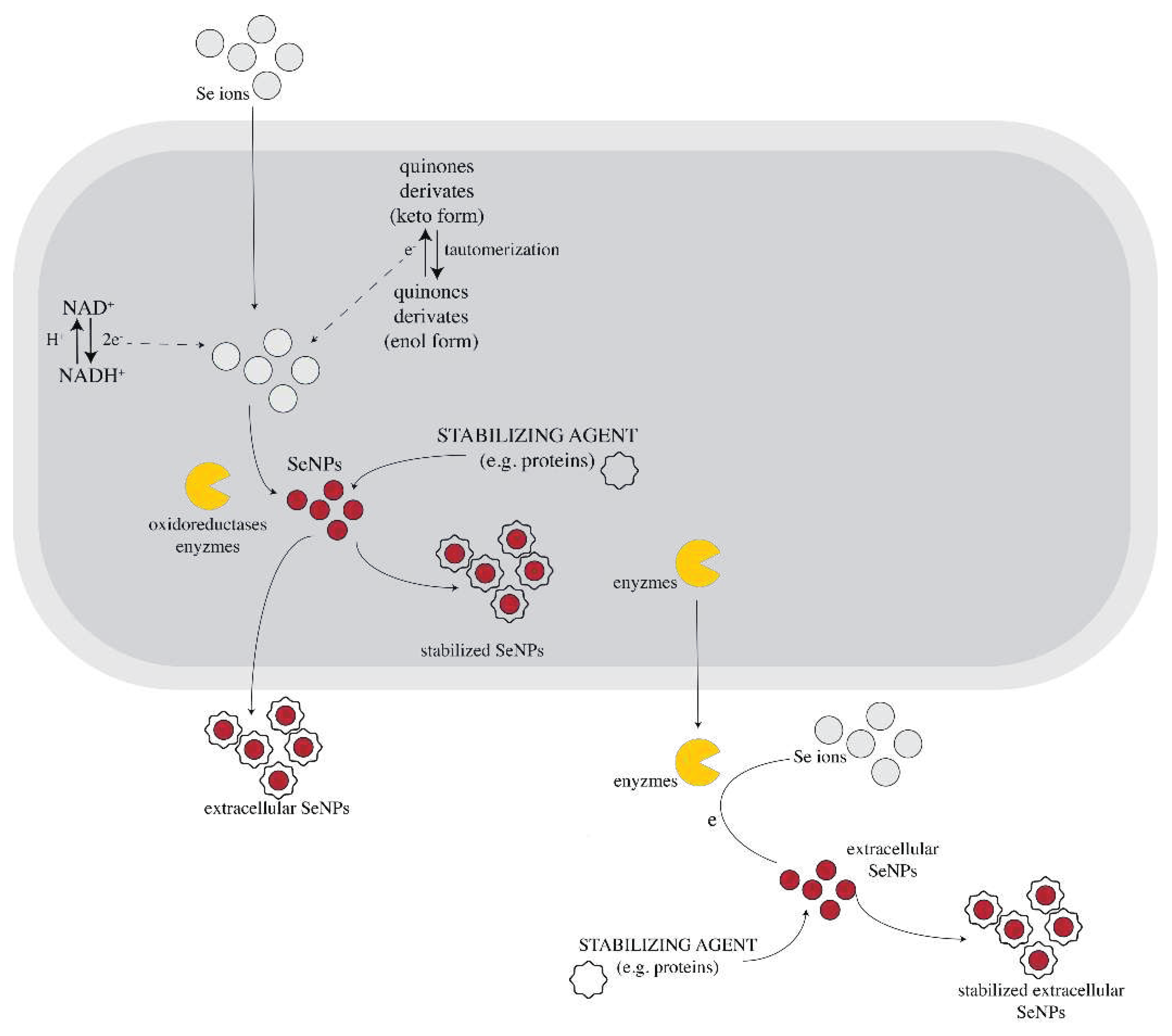 Preprints 92865 g001