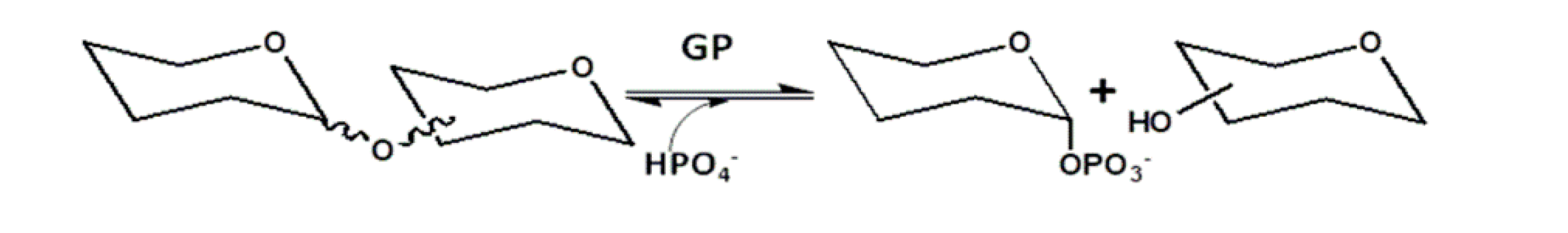 Preprints 83588 g008