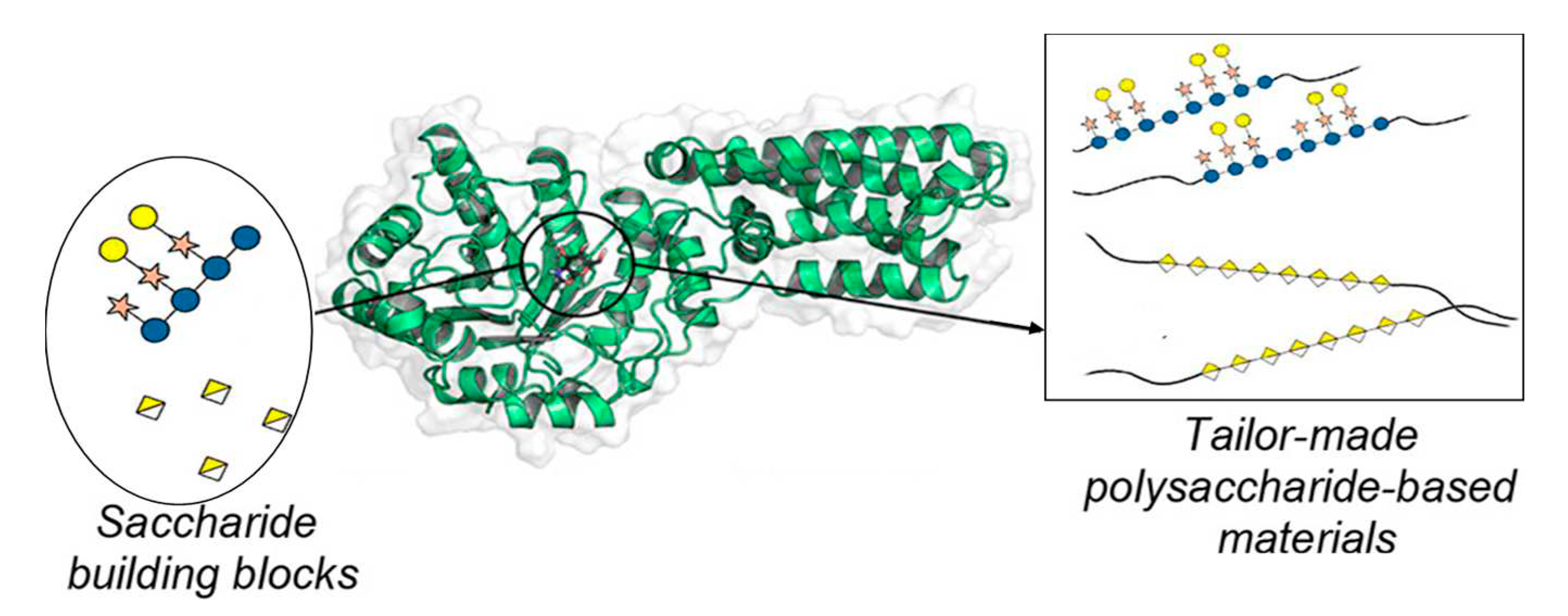 Preprints 83588 g013