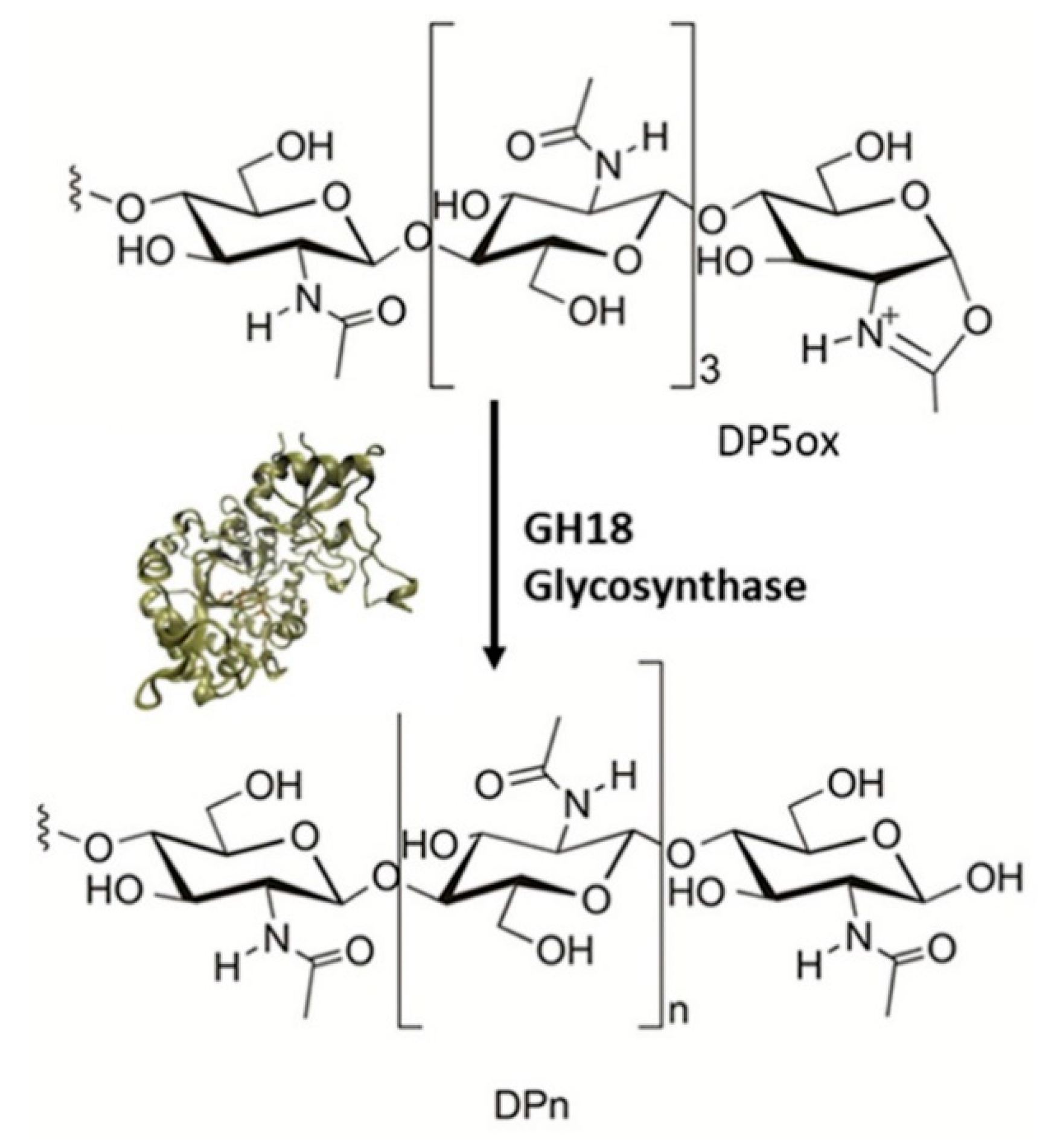 Preprints 83588 g019