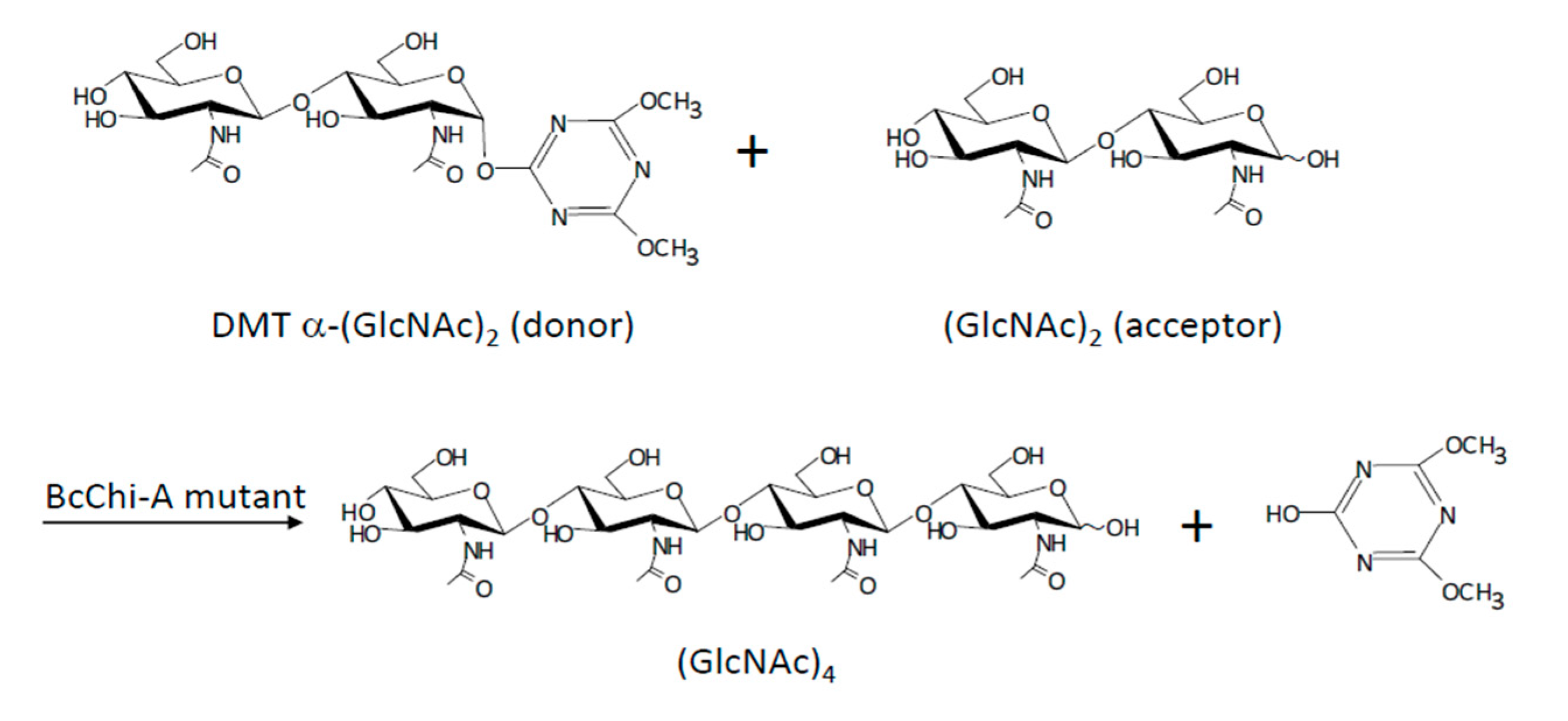 Preprints 83588 g020