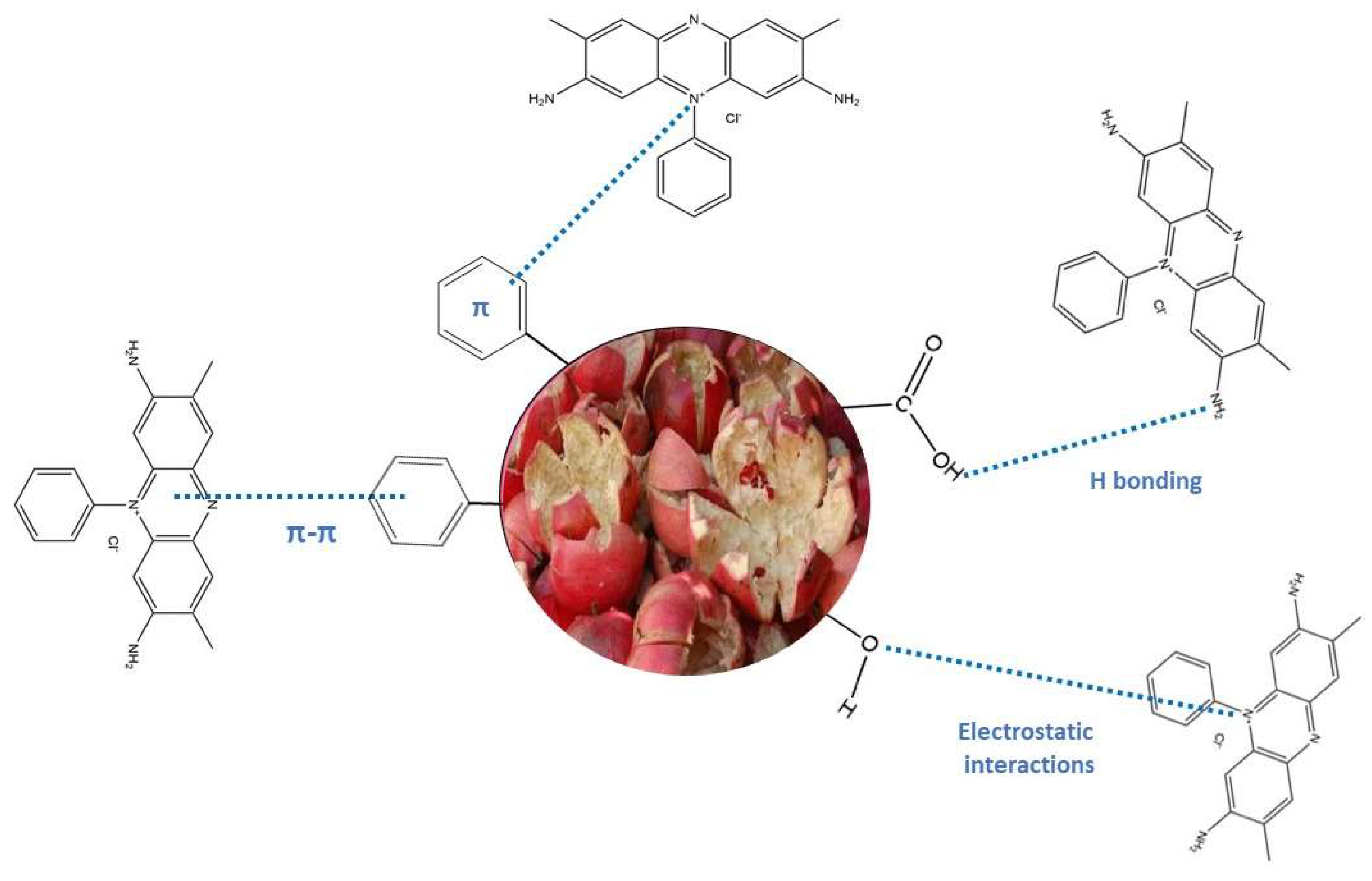 Preprints 88246 g014