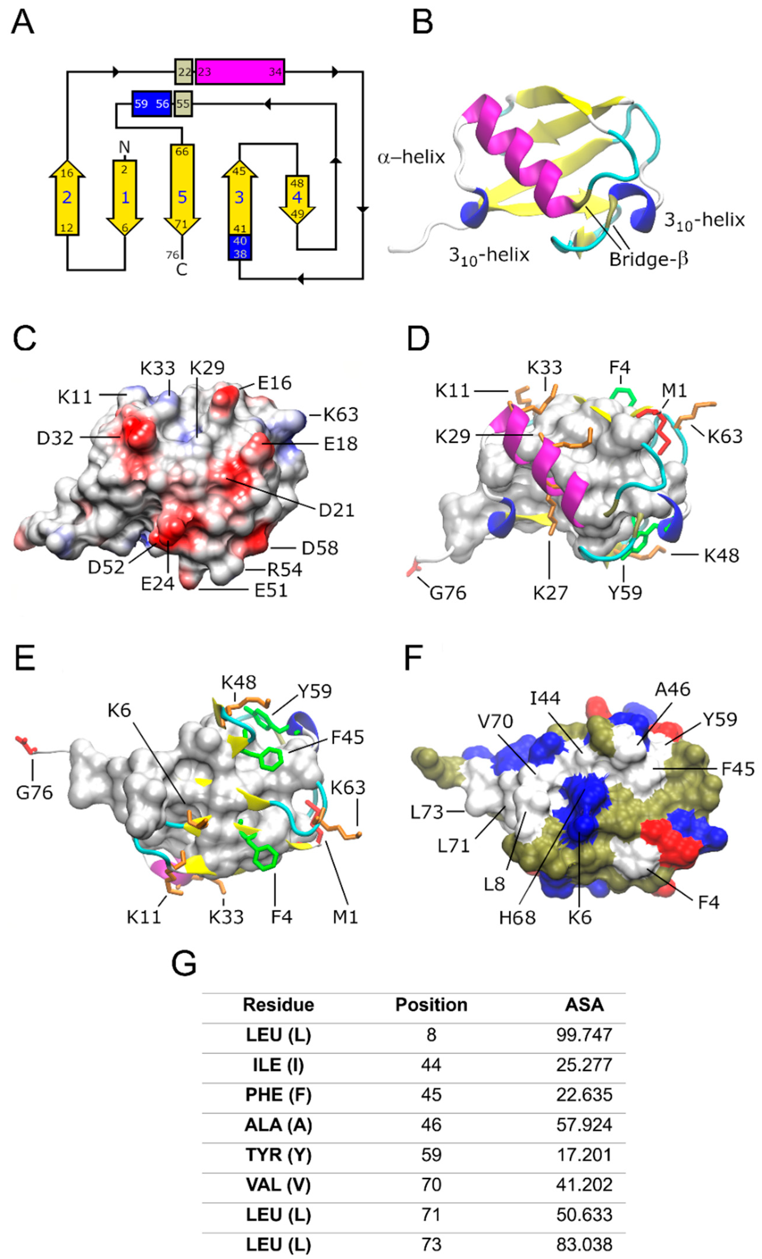 Preprints 94698 g001