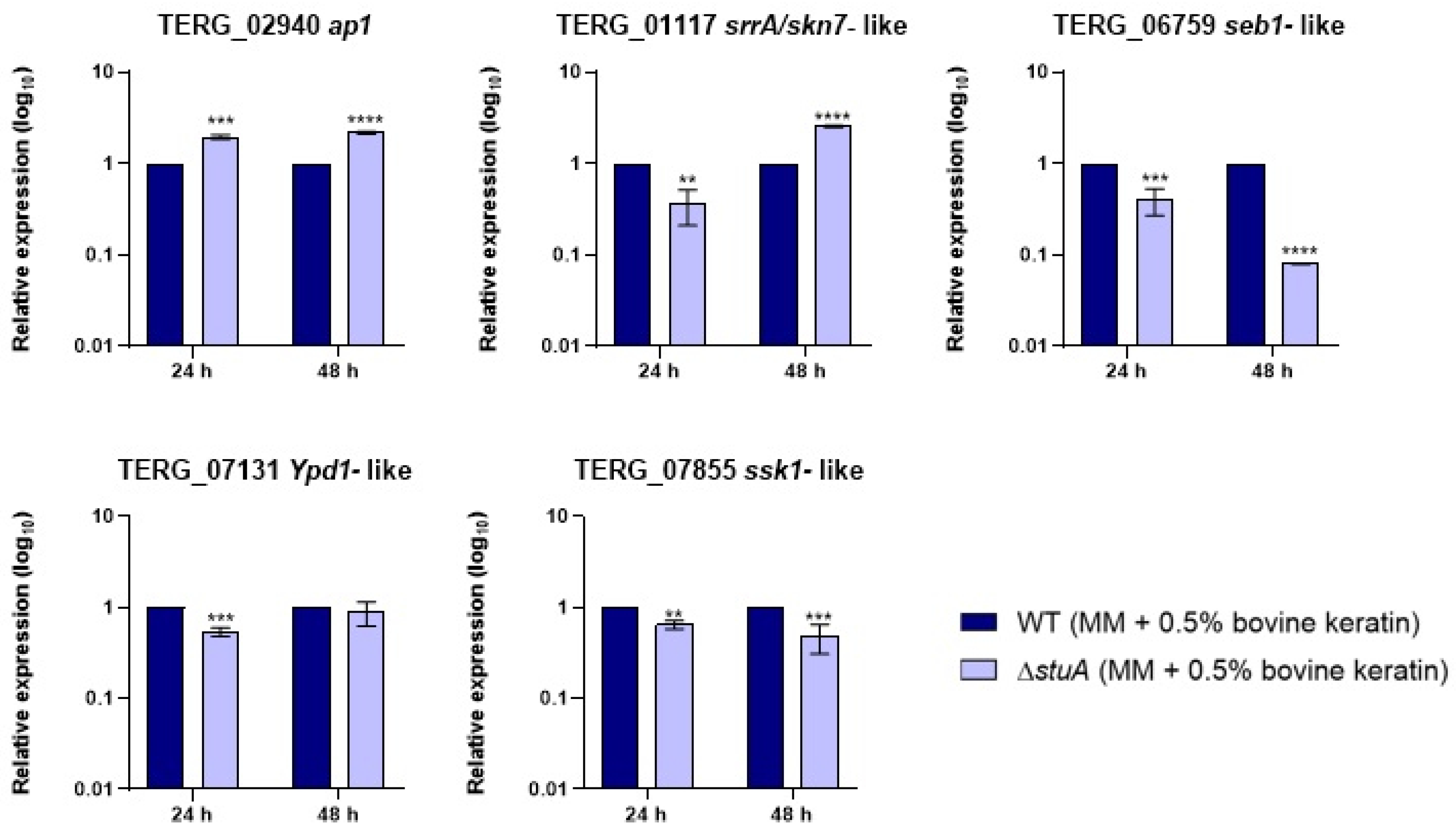 Preprints 137637 g001