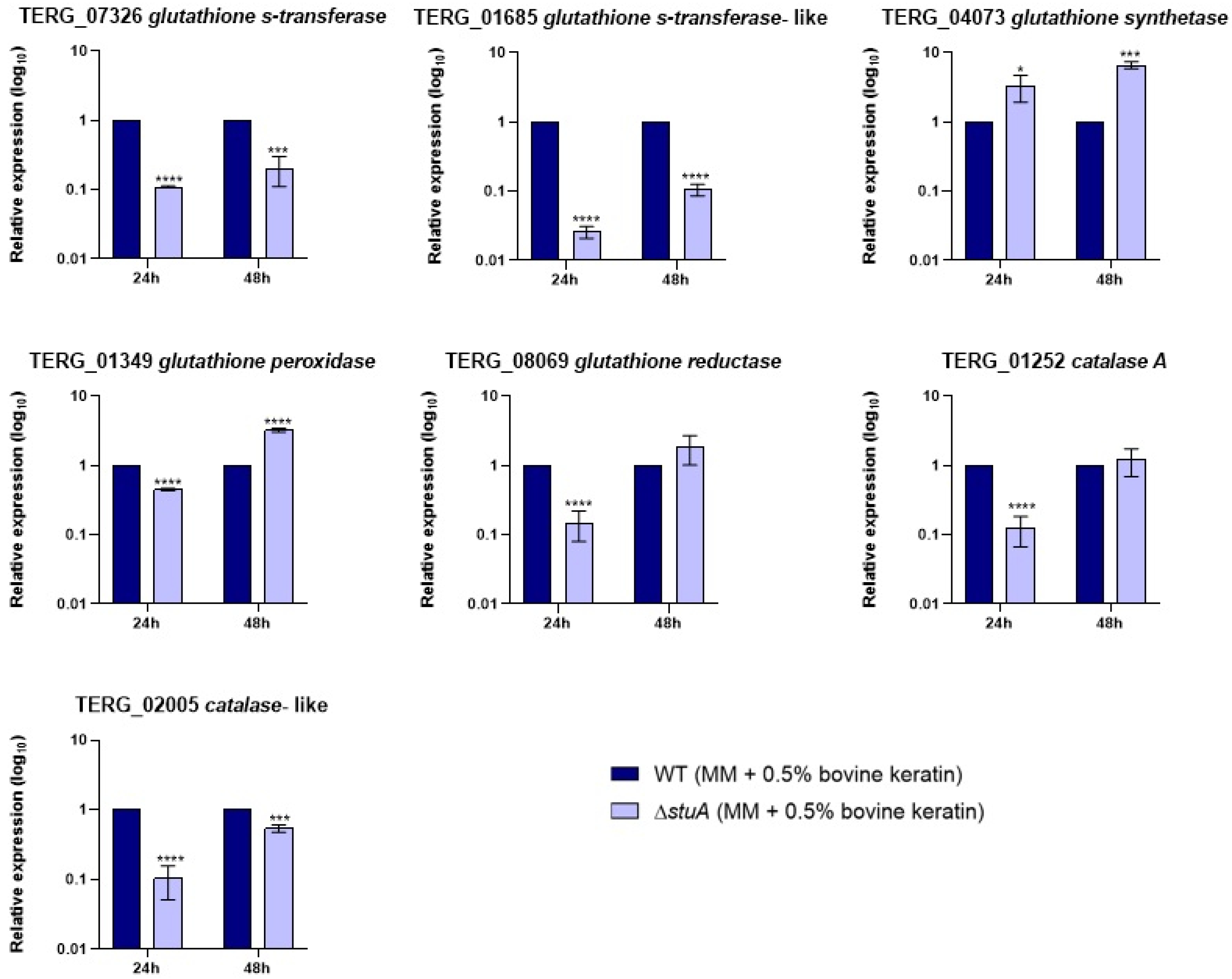 Preprints 137637 g003