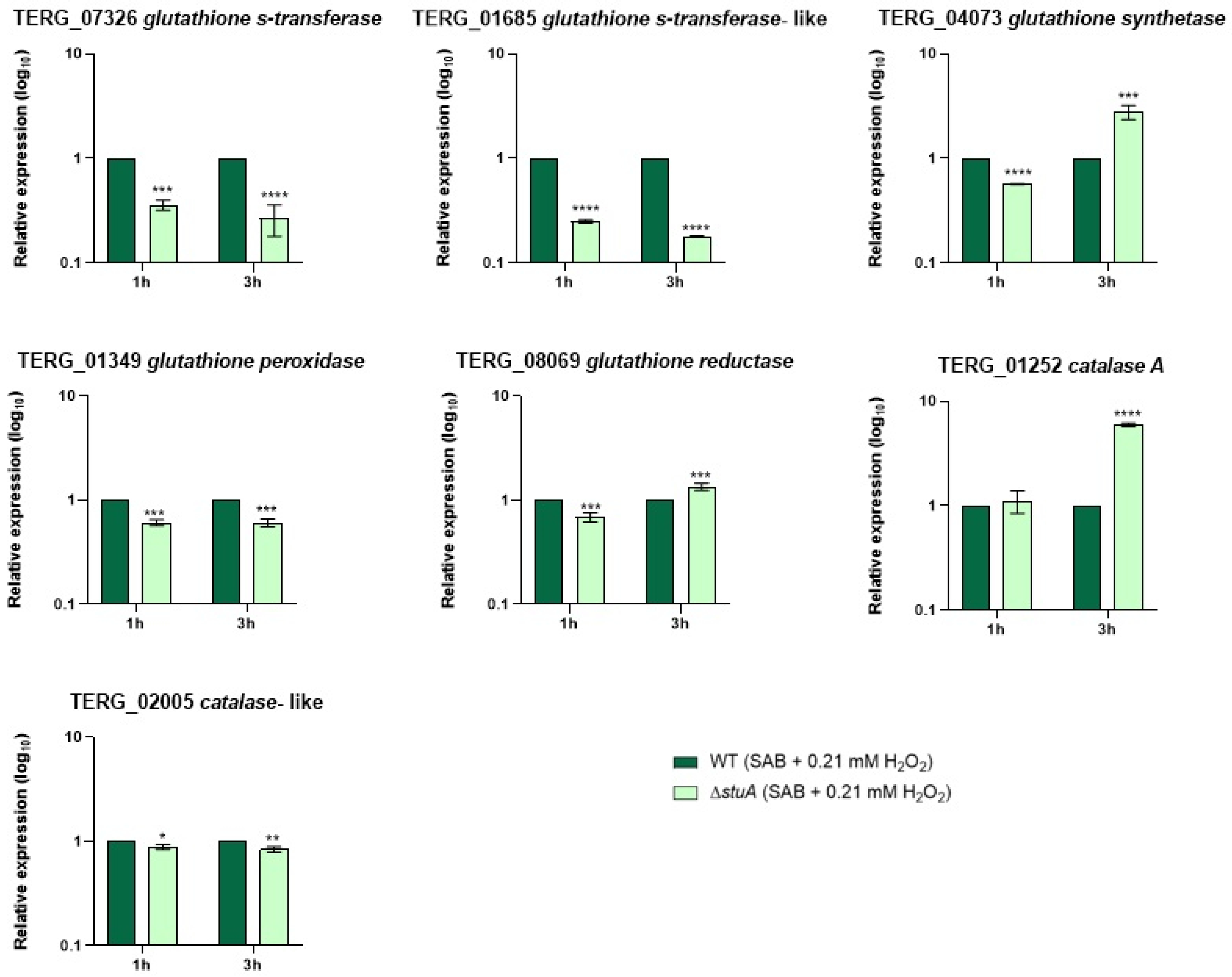 Preprints 137637 g004