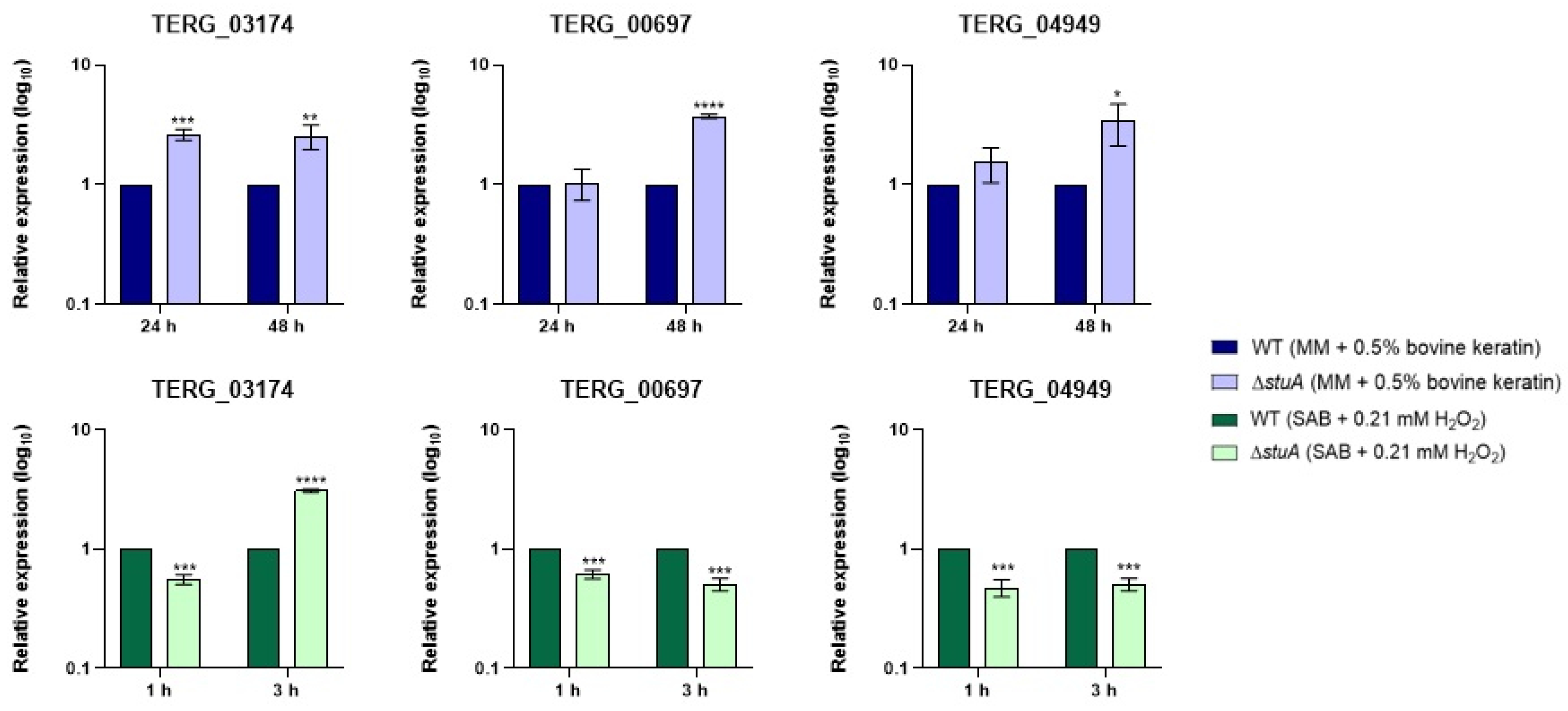 Preprints 137637 g008