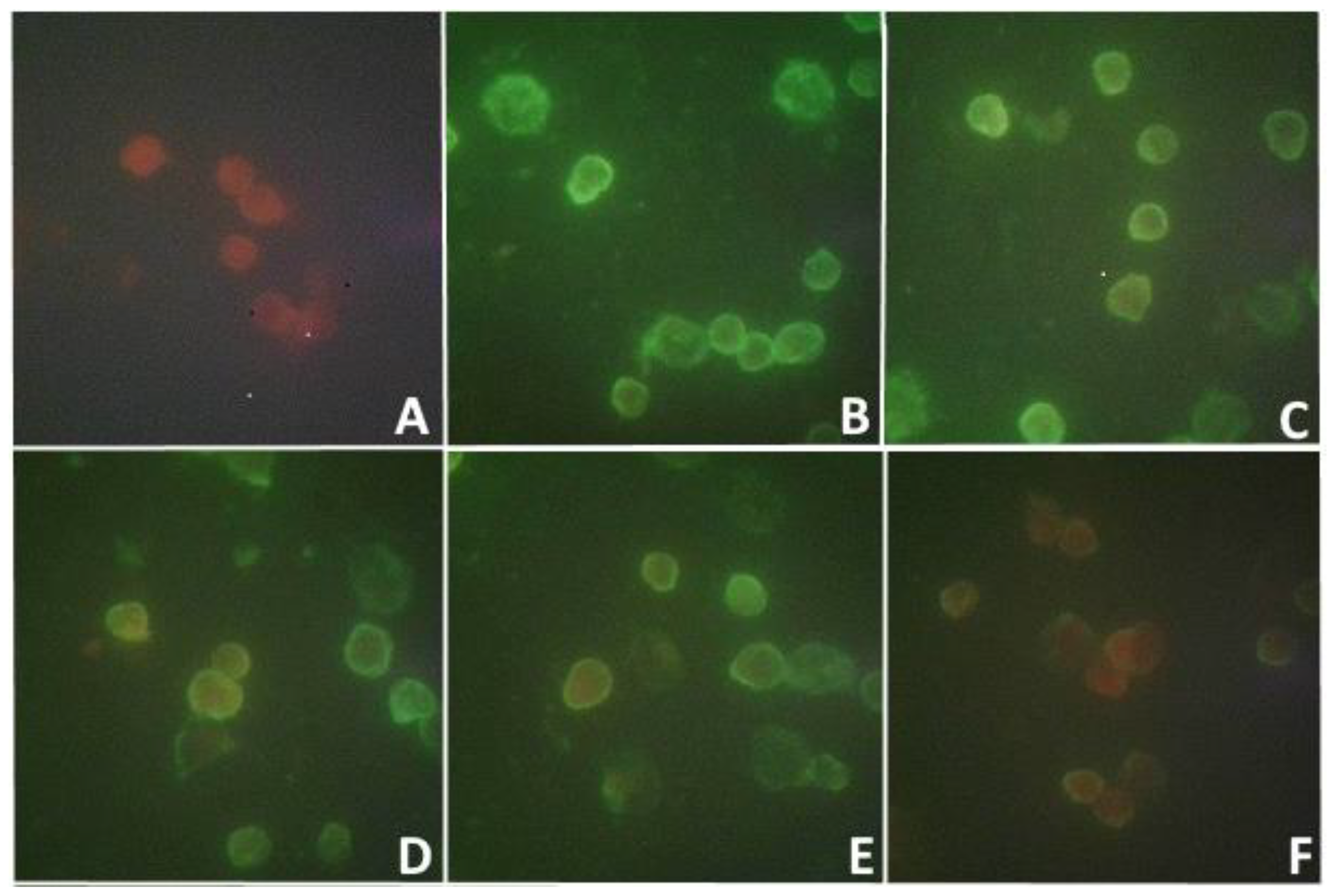 Preprints 75905 g001