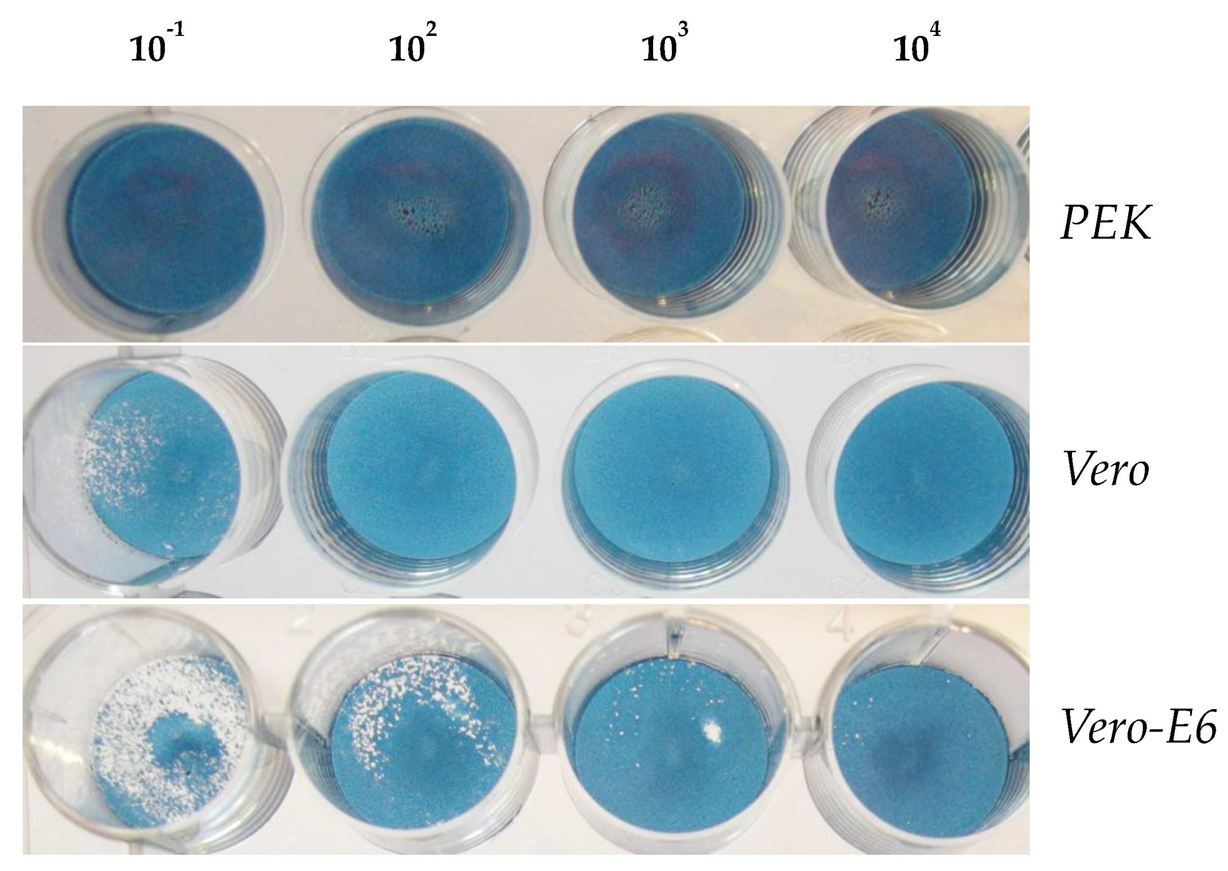 Preprints 75905 g004