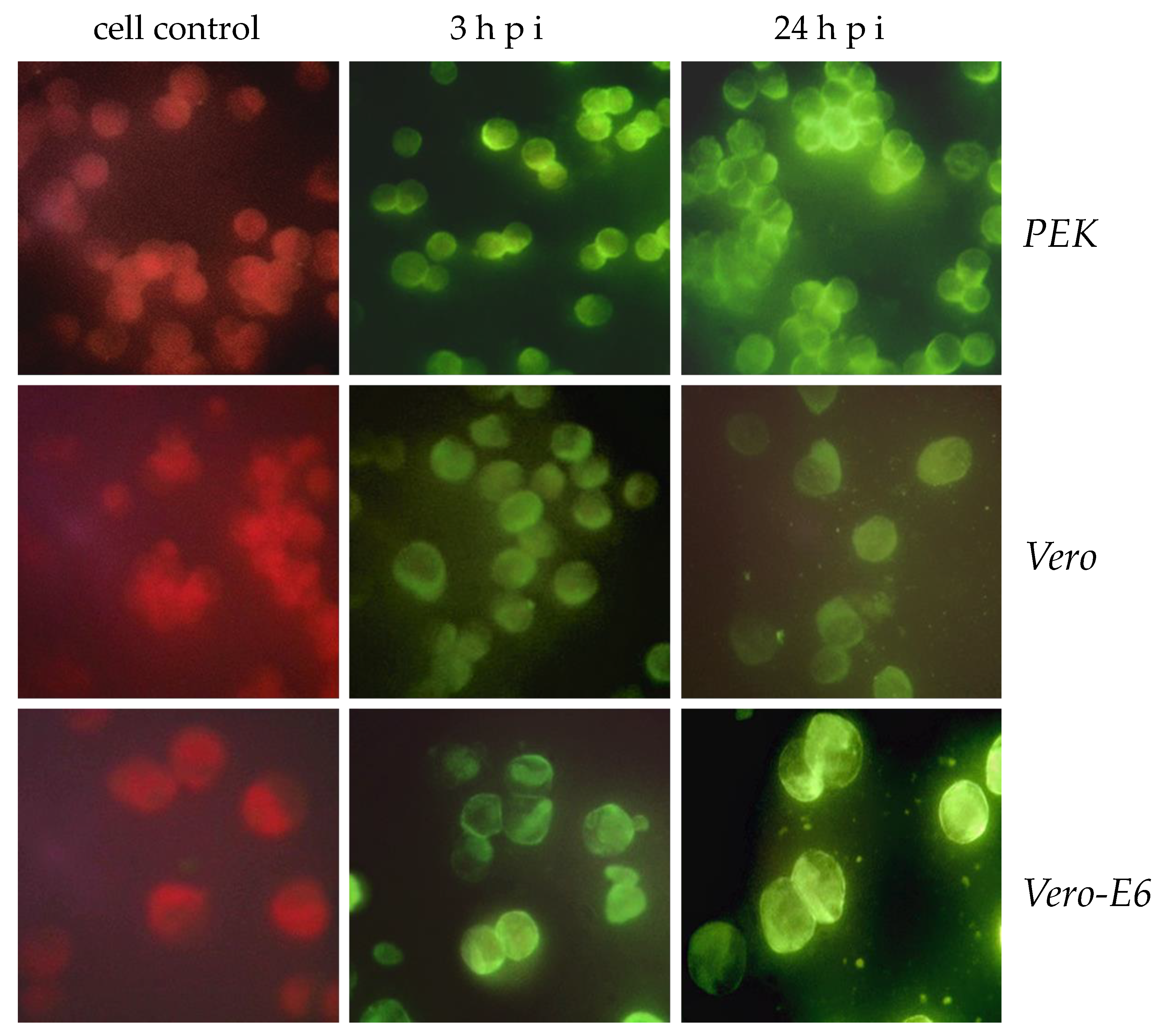 Preprints 75905 g005