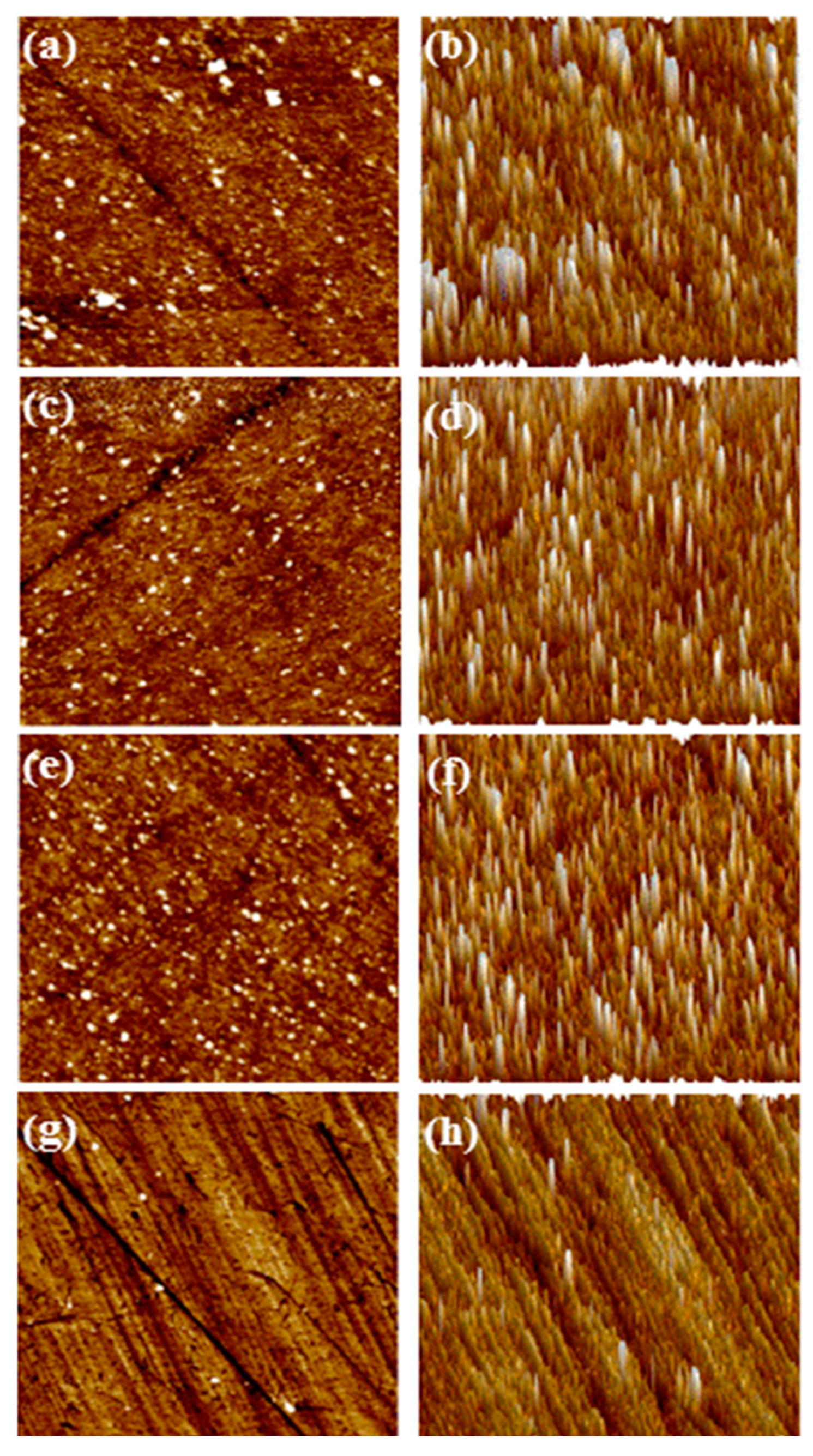 Preprints 81388 g009