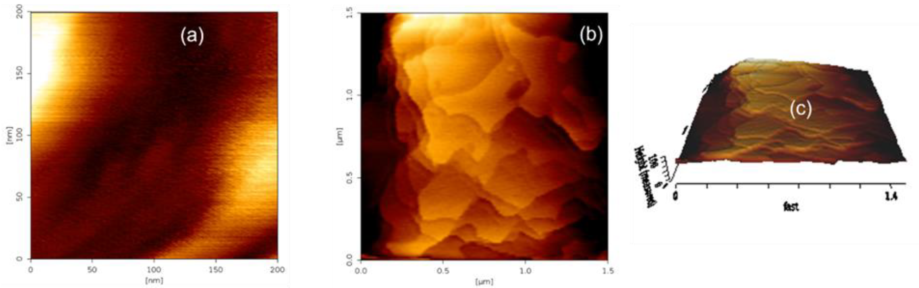 Preprints 105082 g006