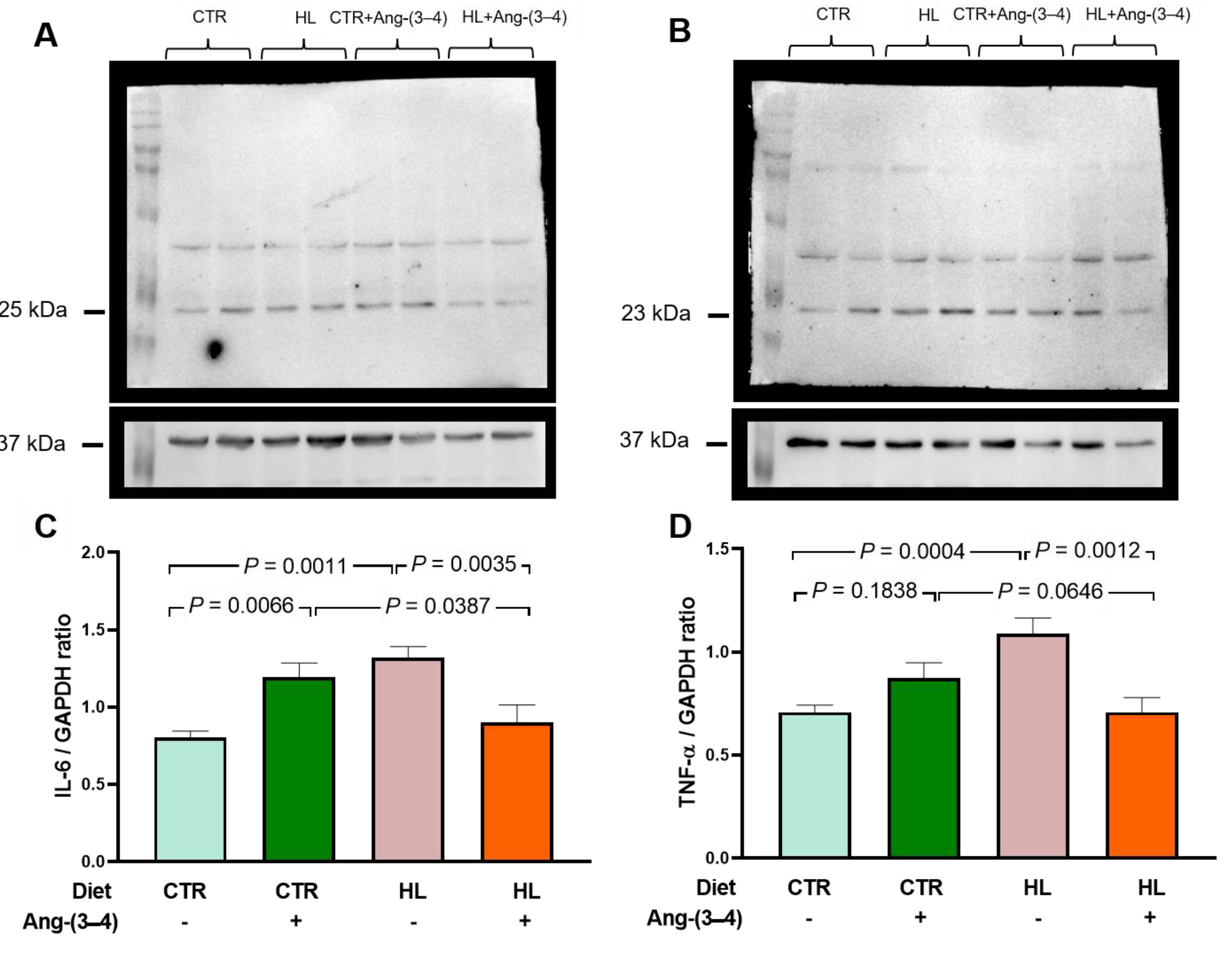 Preprints 112076 g005