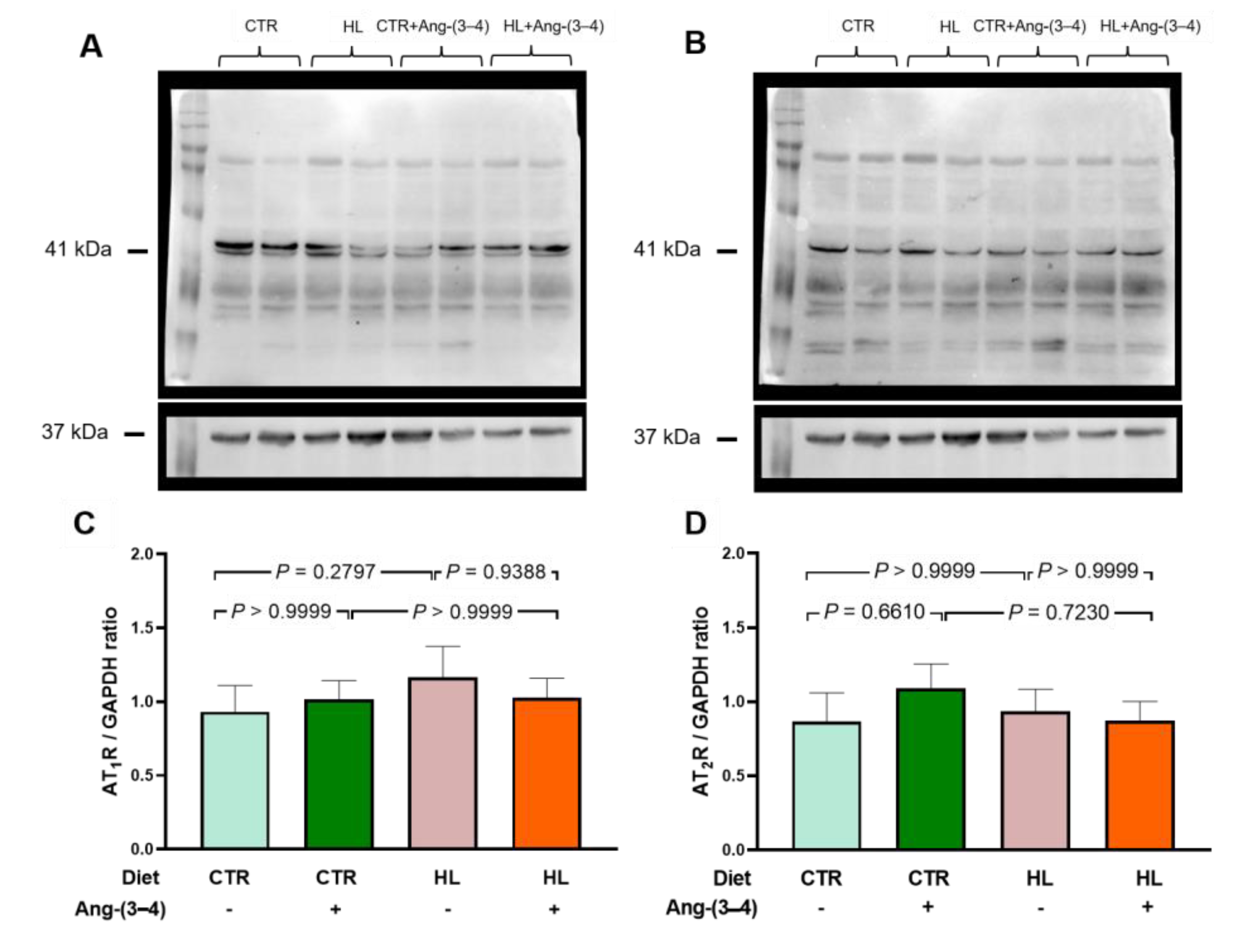 Preprints 112076 g008