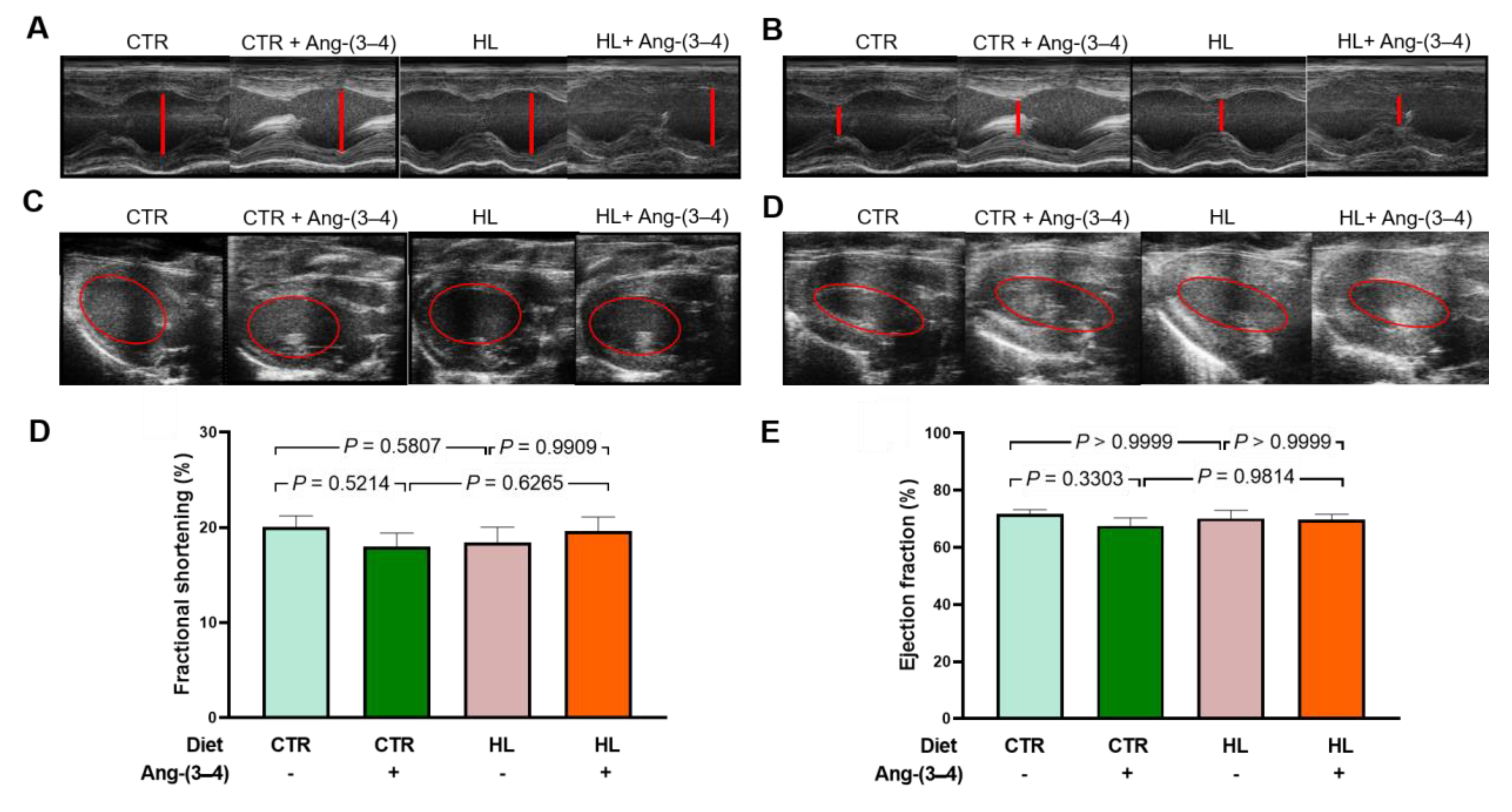 Preprints 112076 g011