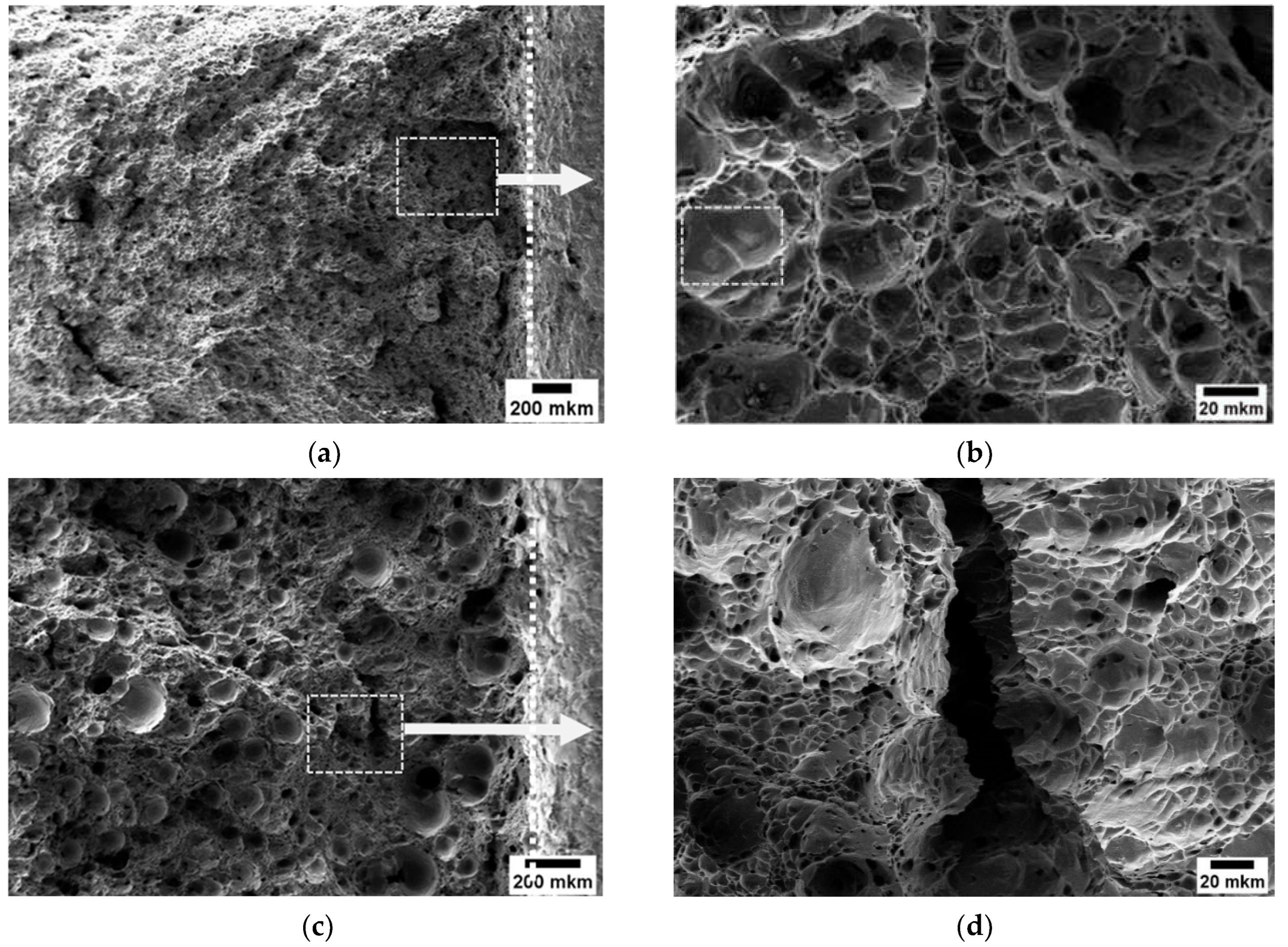 Preprints 73595 g008