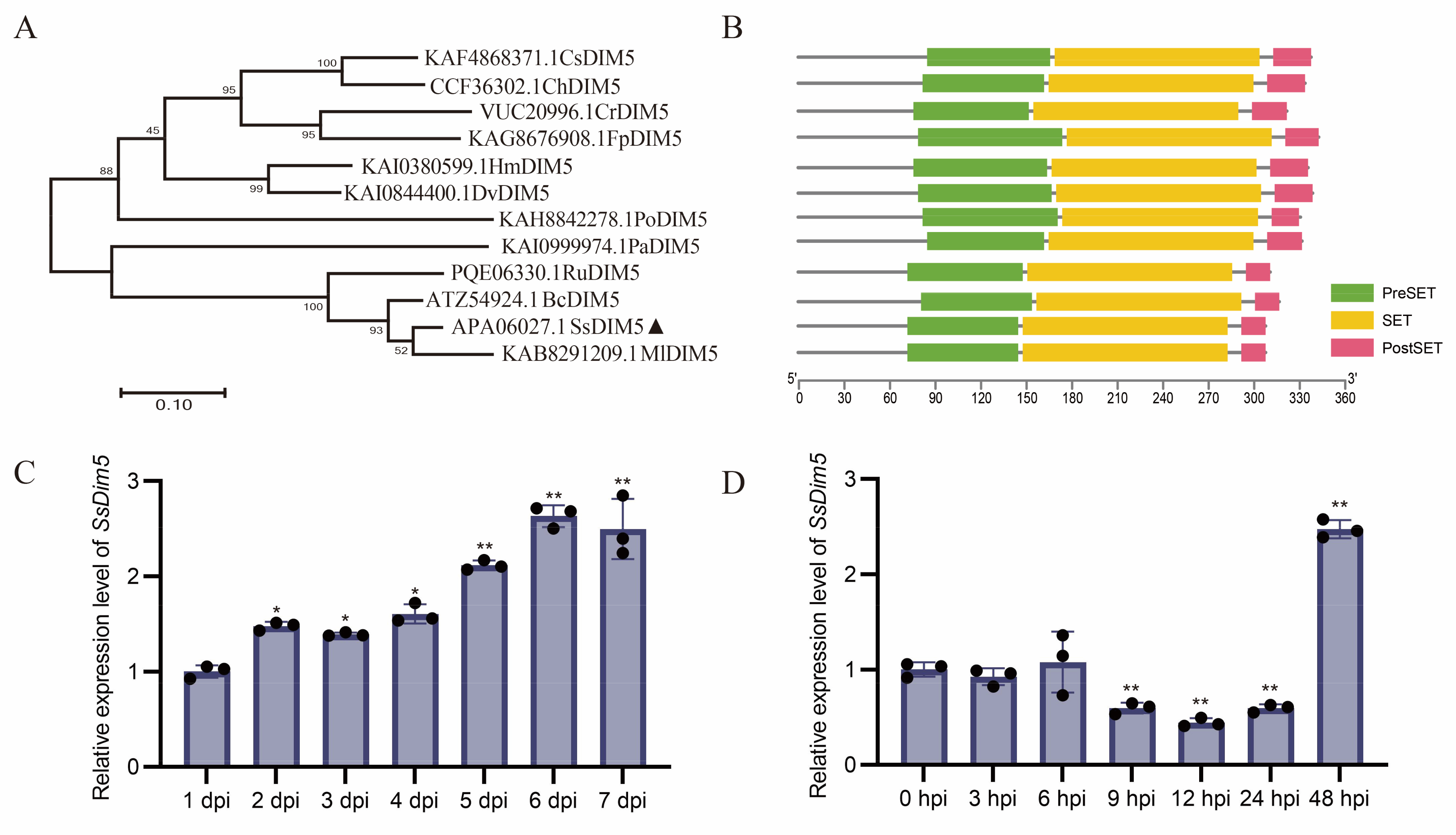 Preprints 100983 g001