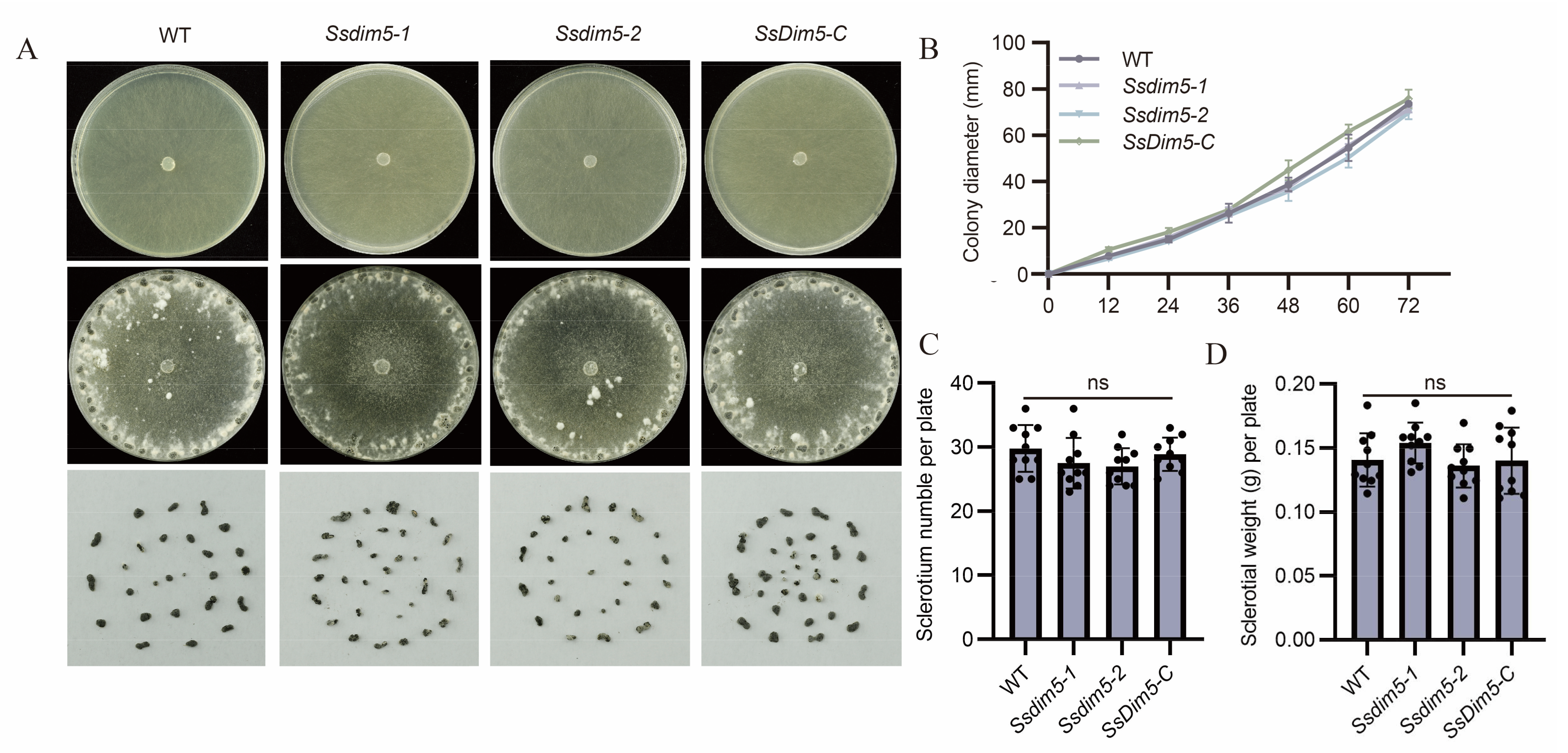 Preprints 100983 g002