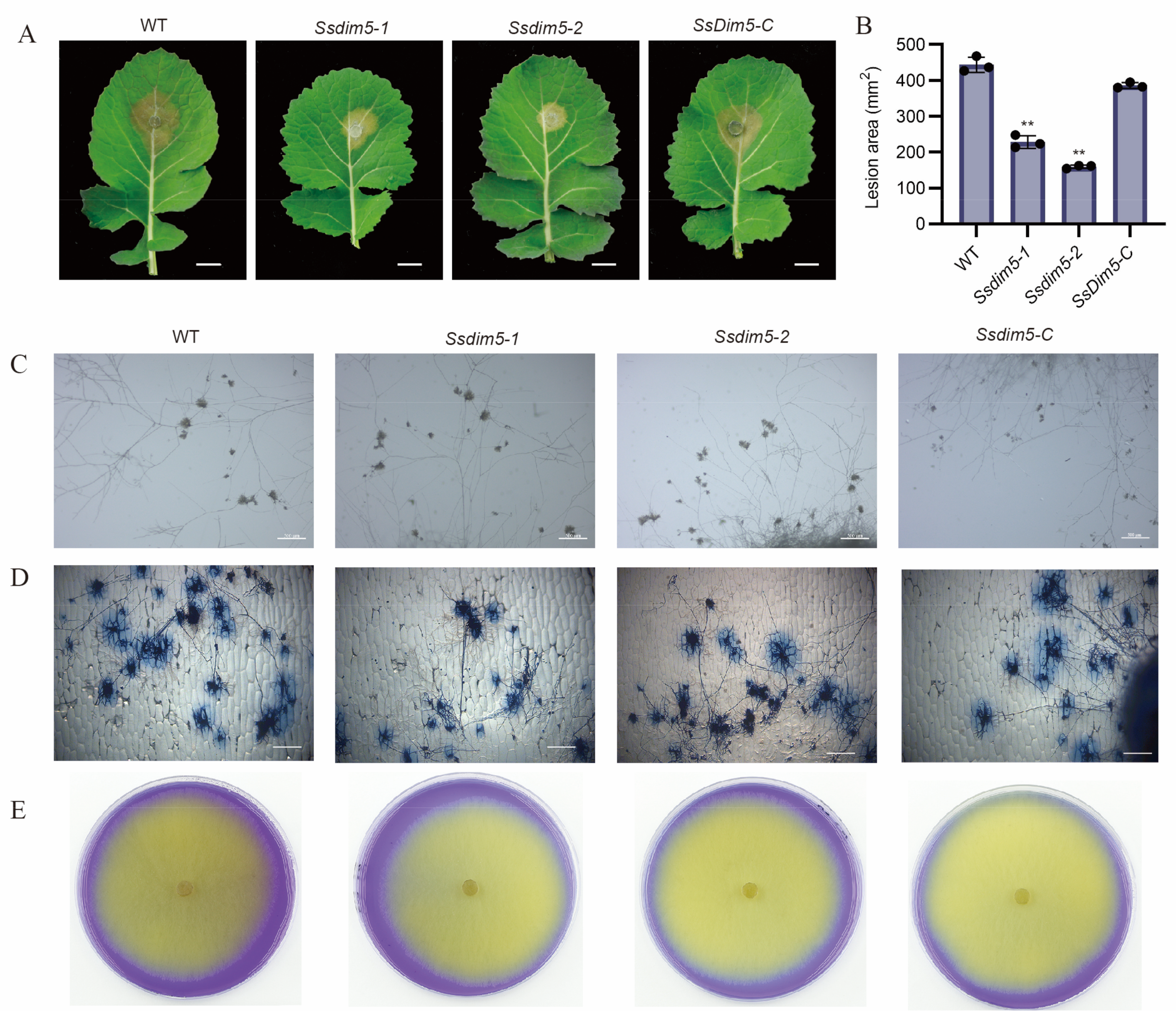 Preprints 100983 g003