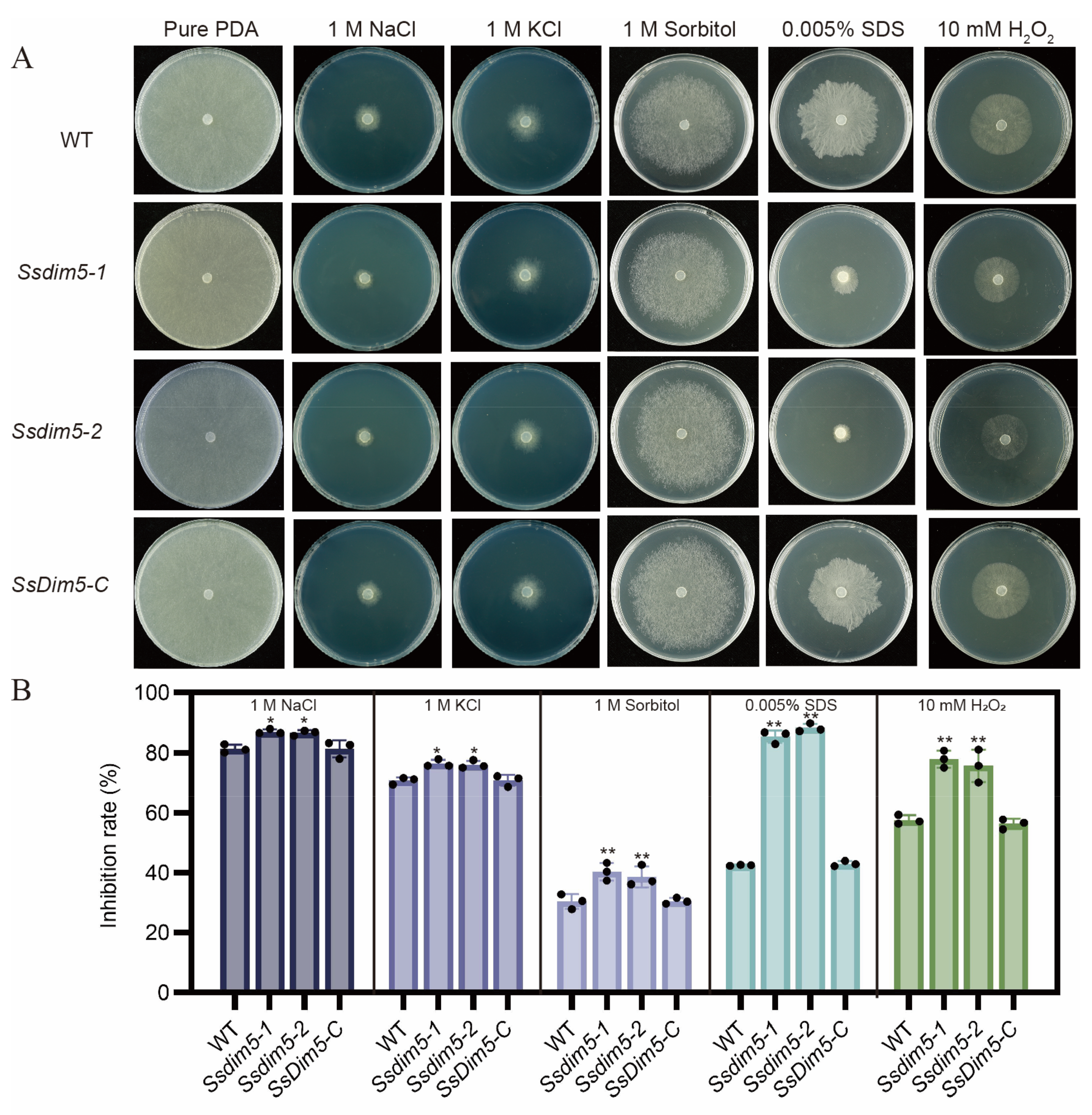 Preprints 100983 g006