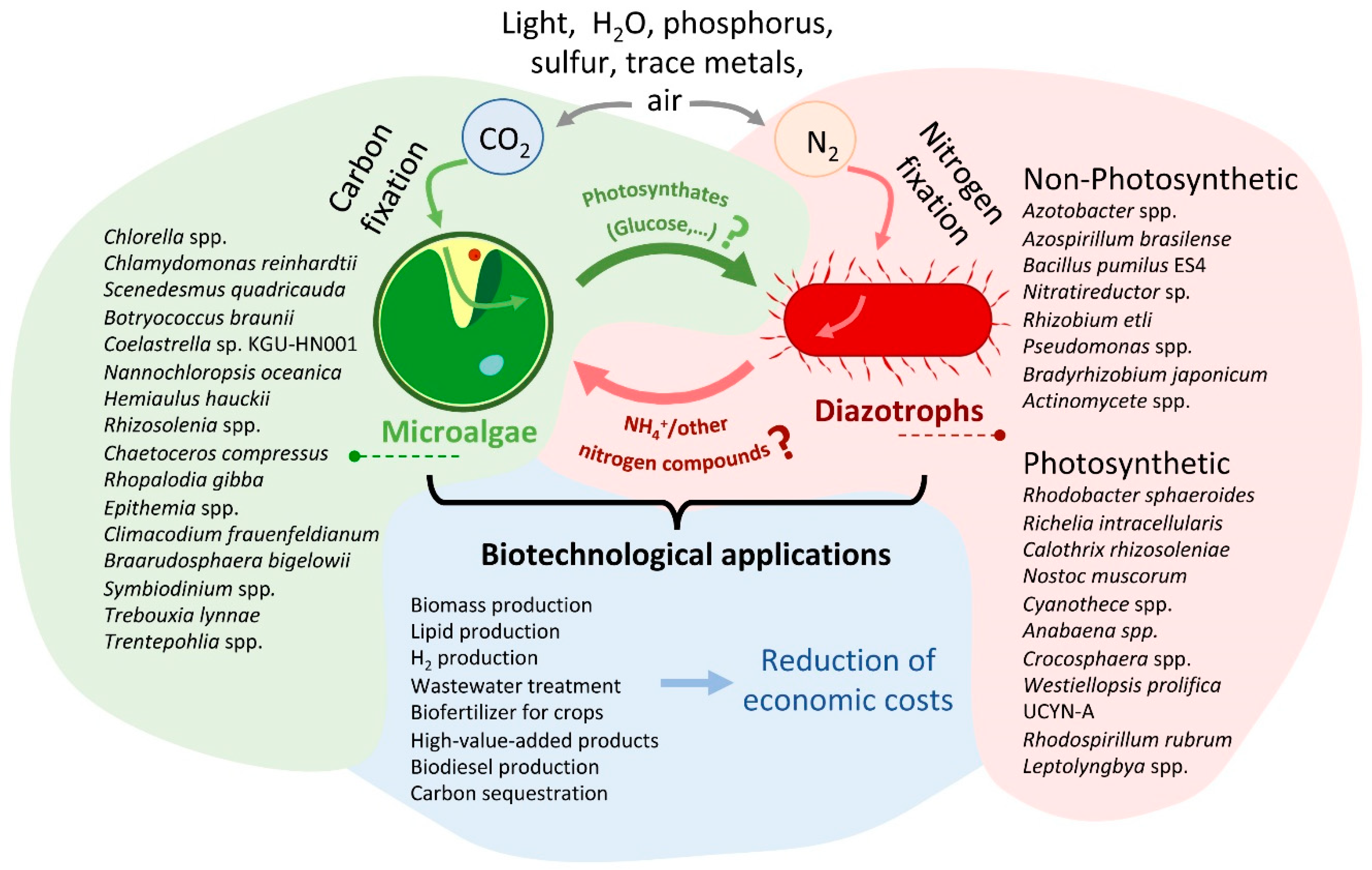 Preprints 74137 g002